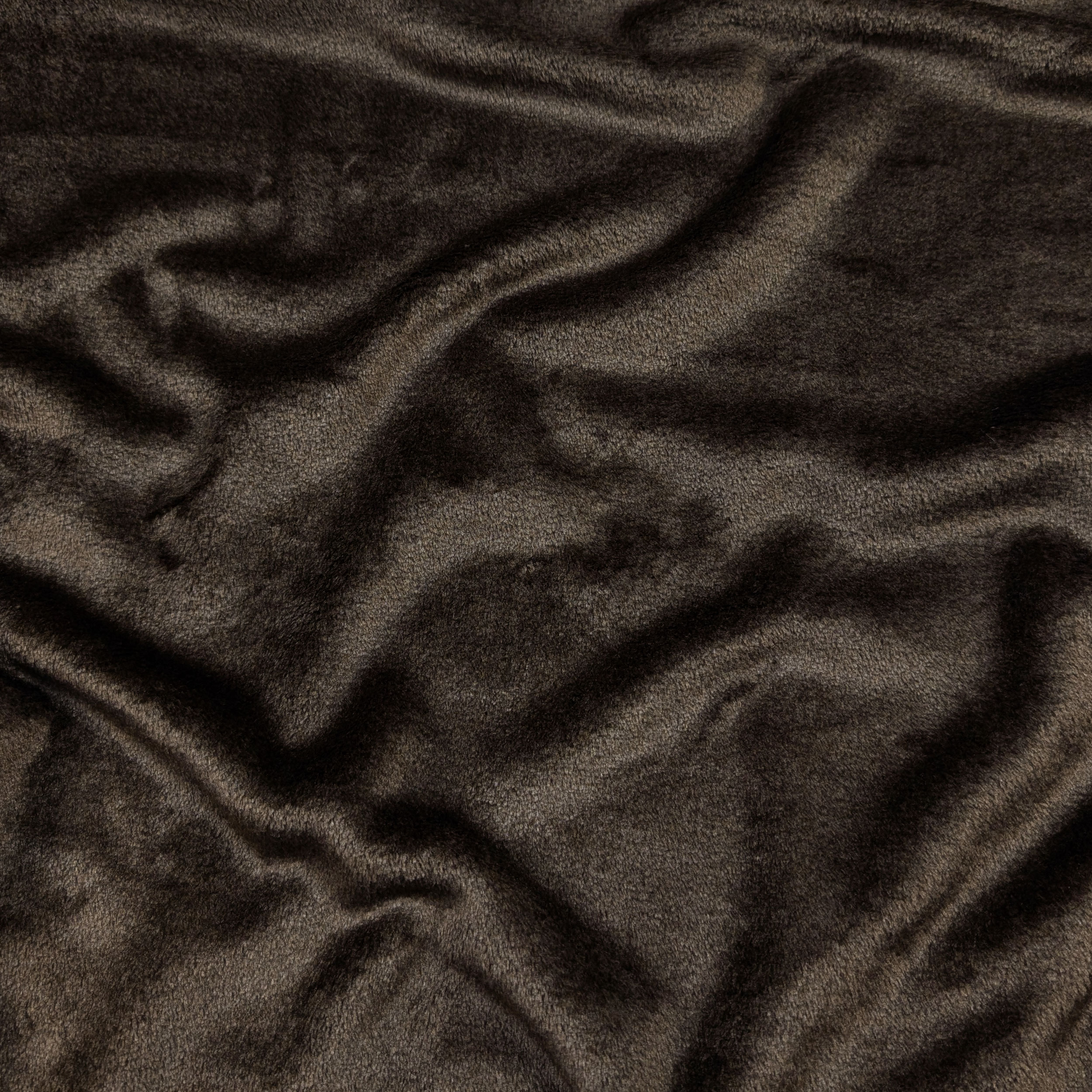 Marron - C448