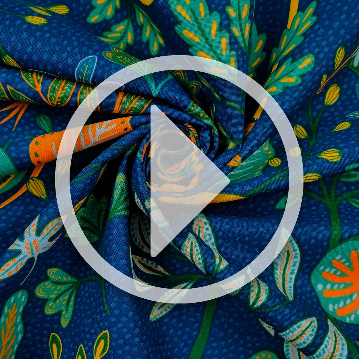 Décor Panama Fond bleu avec feuilles colorées Image