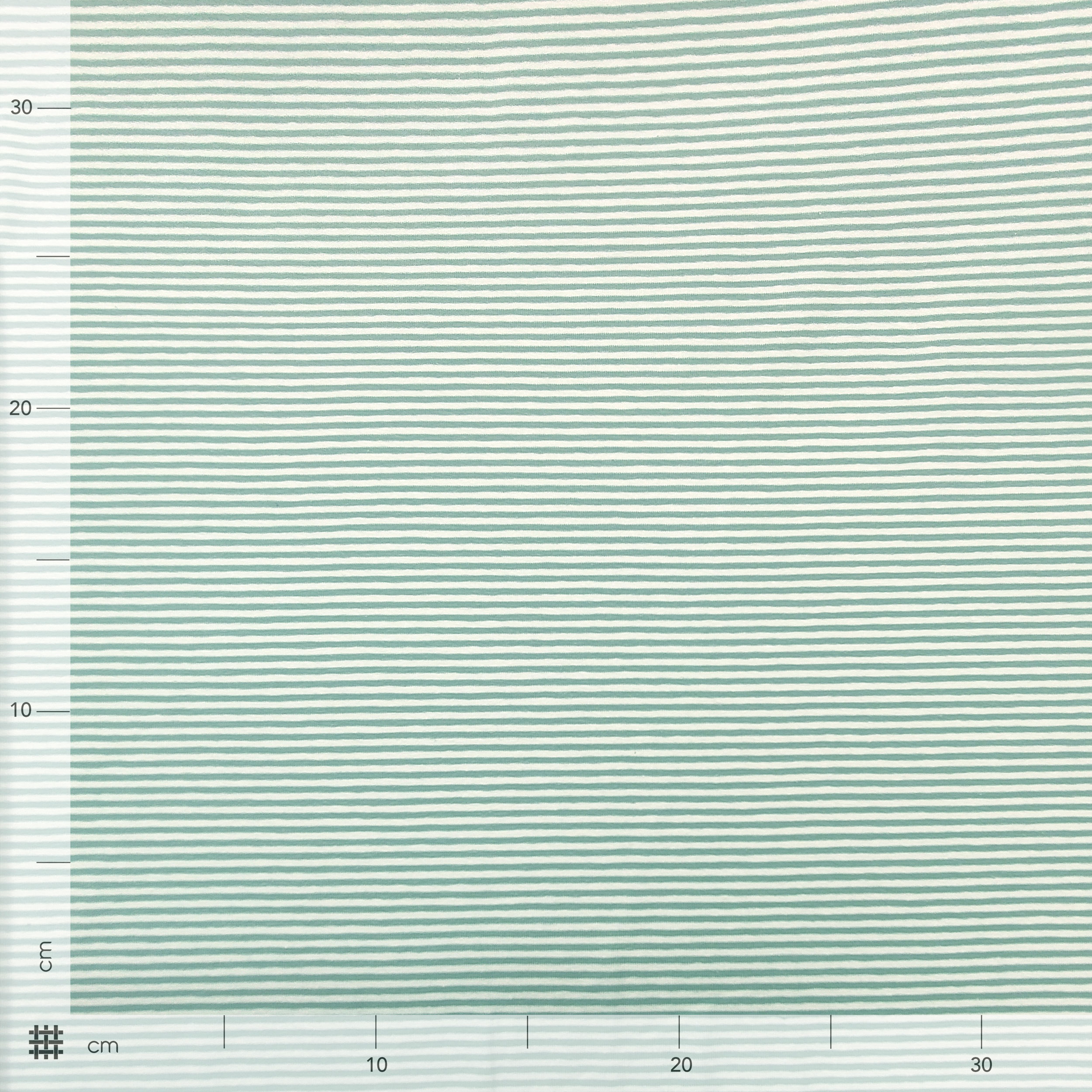 Yarn-dyed Jersey Cotton Coloured Stripes Image