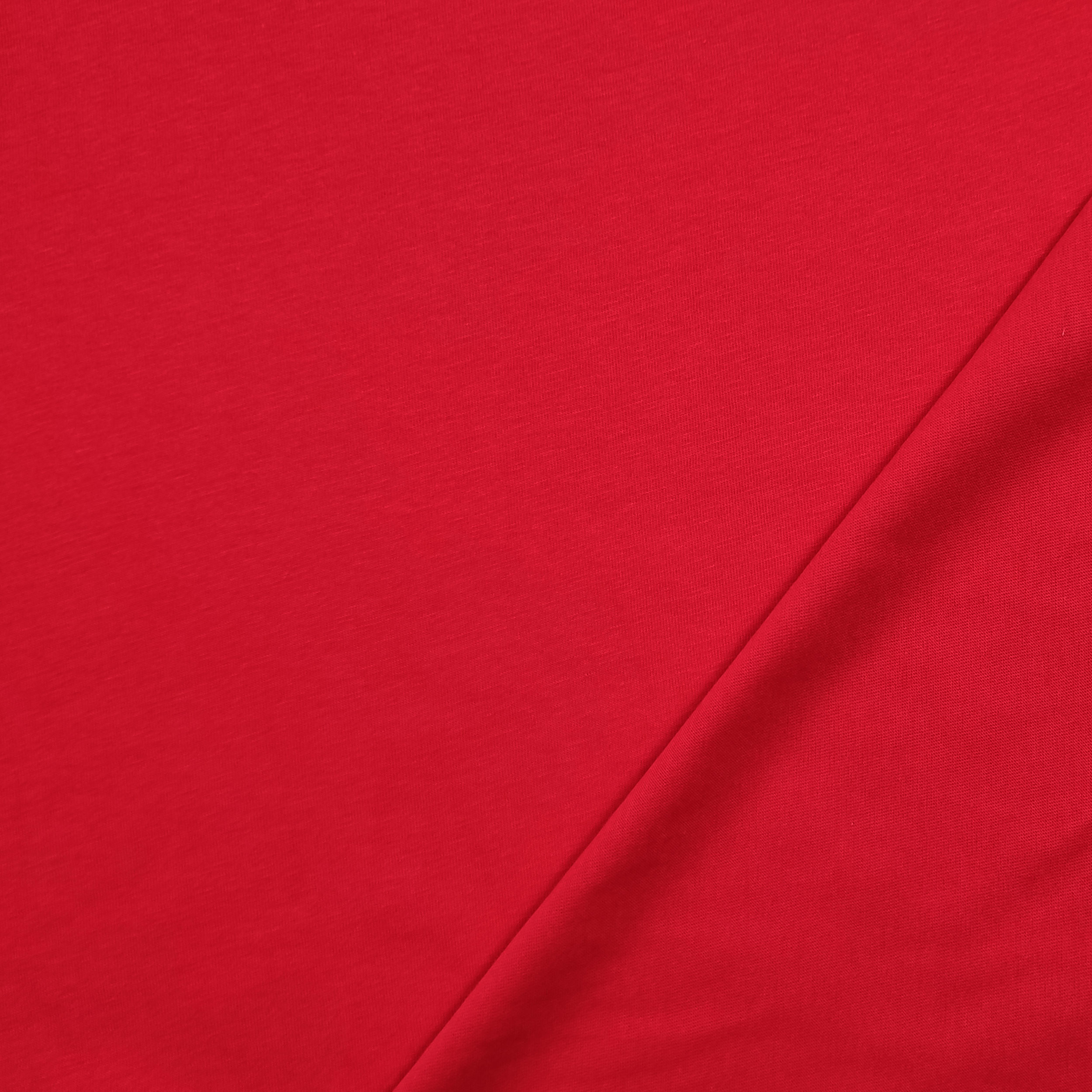 Cotton Jersey Unicolour Image