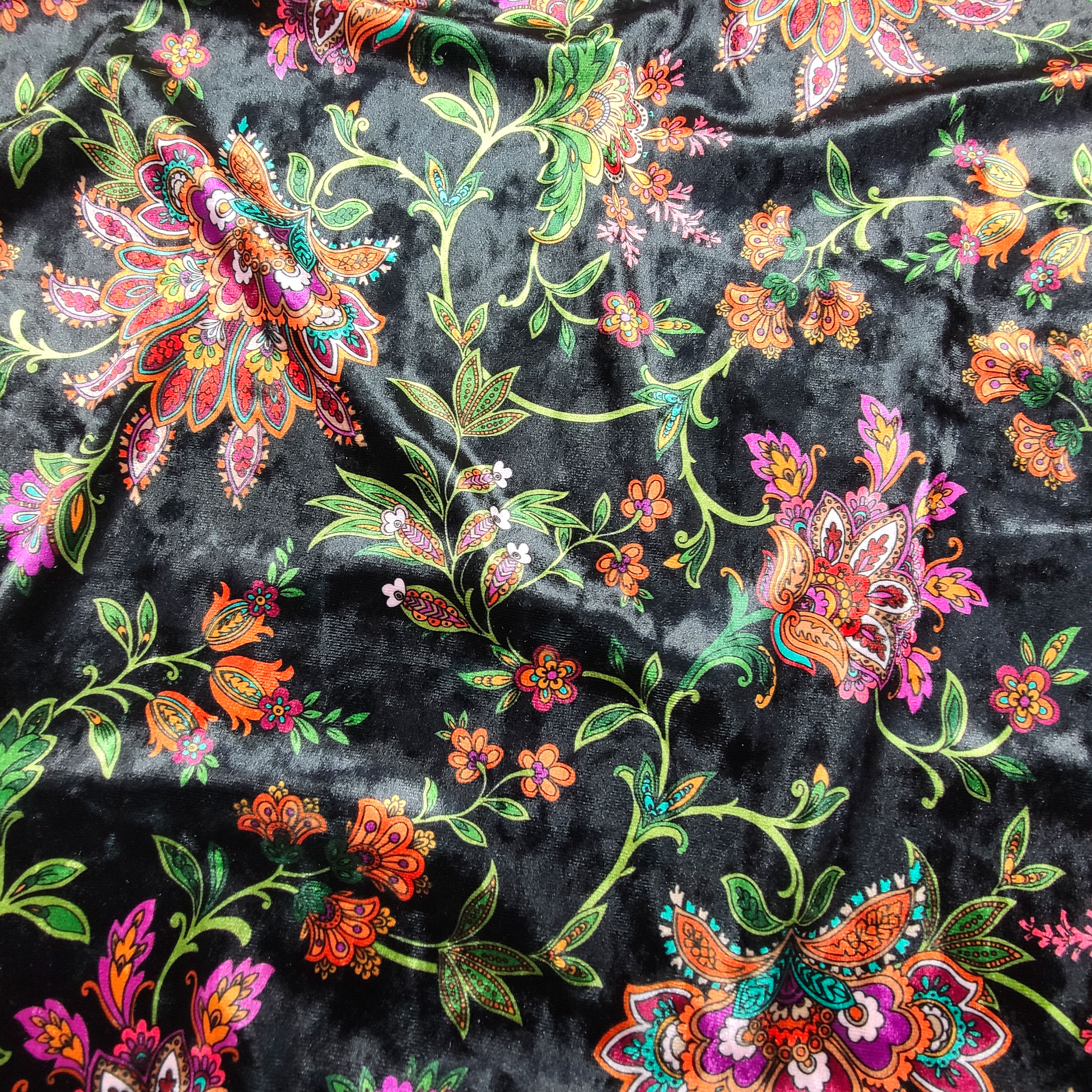 Velveteen Fashion Floral Patterns Black Background Image