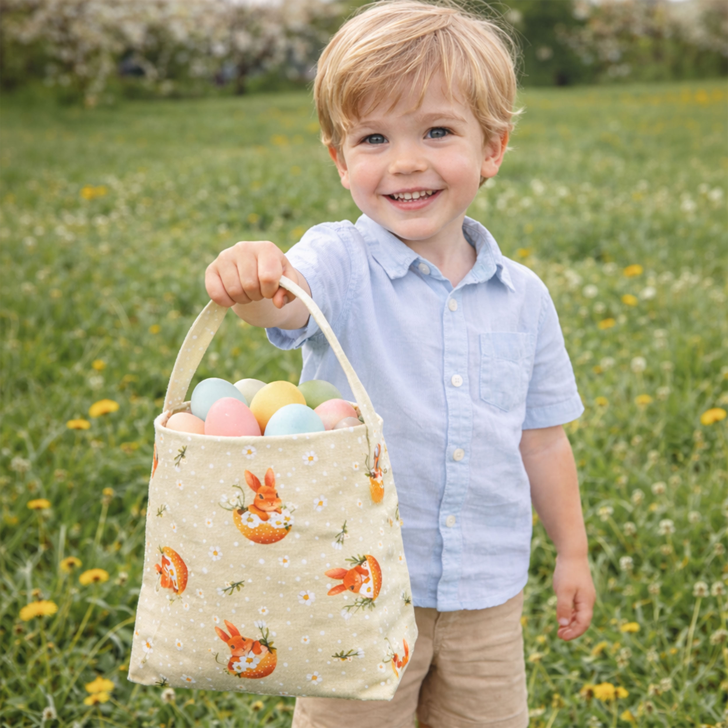 Panama Daisies and Easter Bunnies Image