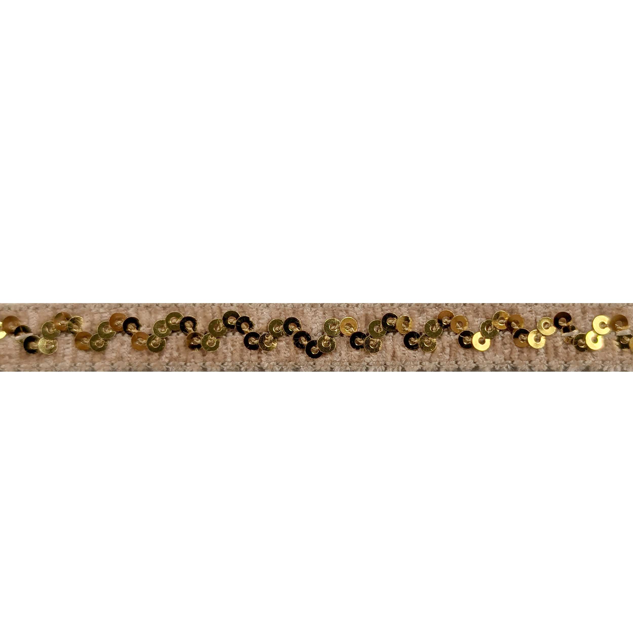 Beige Trimmings with Sequins Image