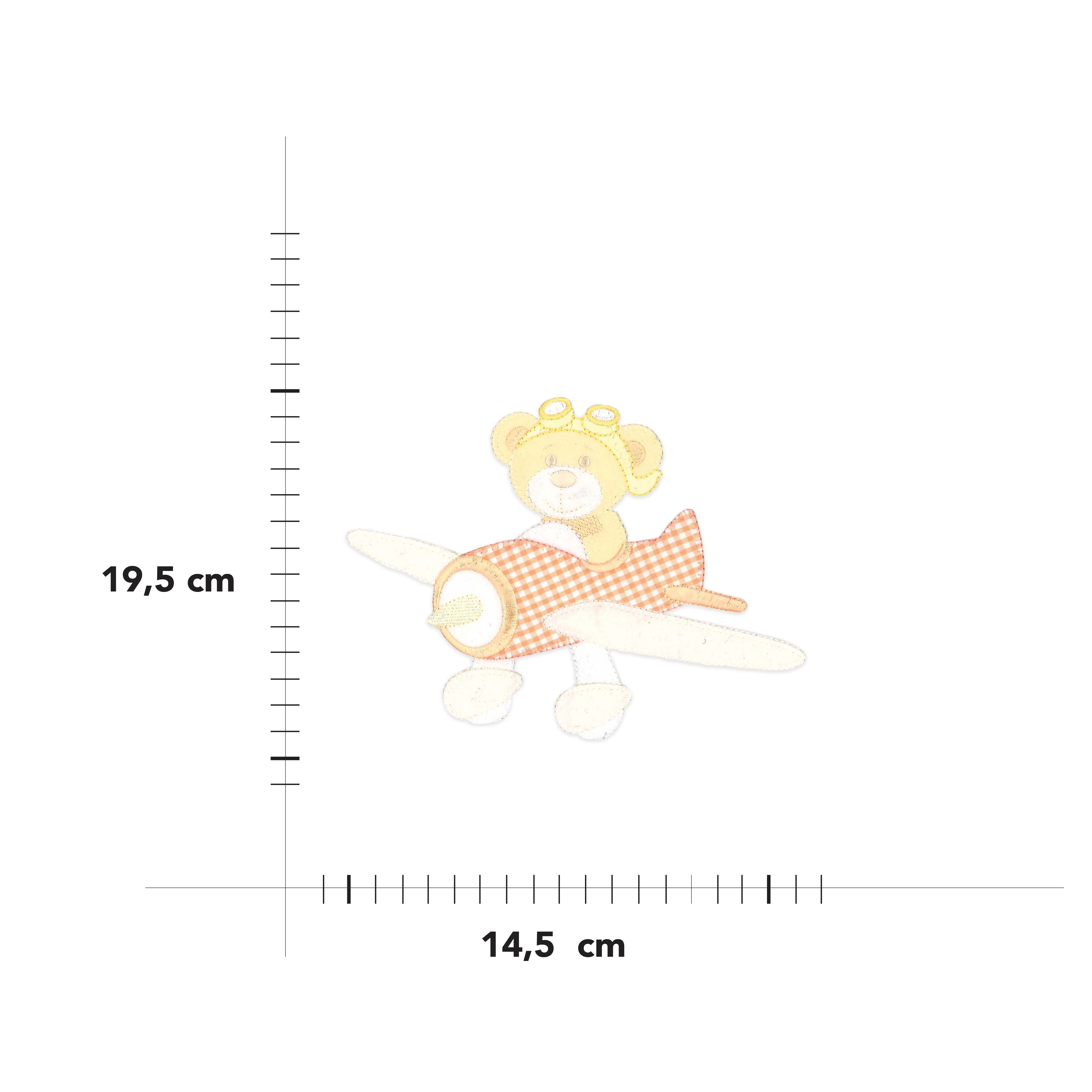 Applying Teddy Bear on Aeroplane Image