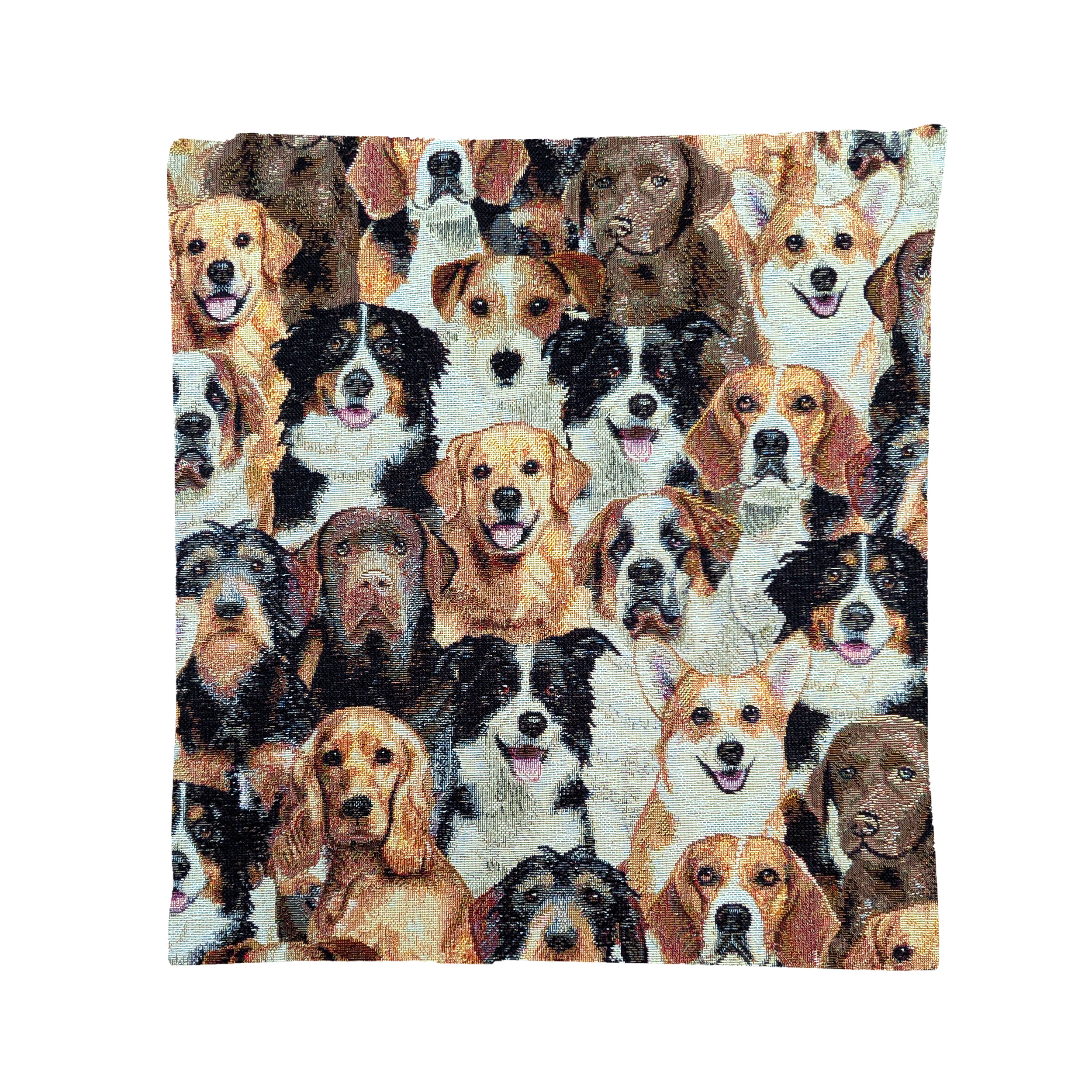 Coussin Gobelin Taie d'oreiller Chien Fantaisie Image