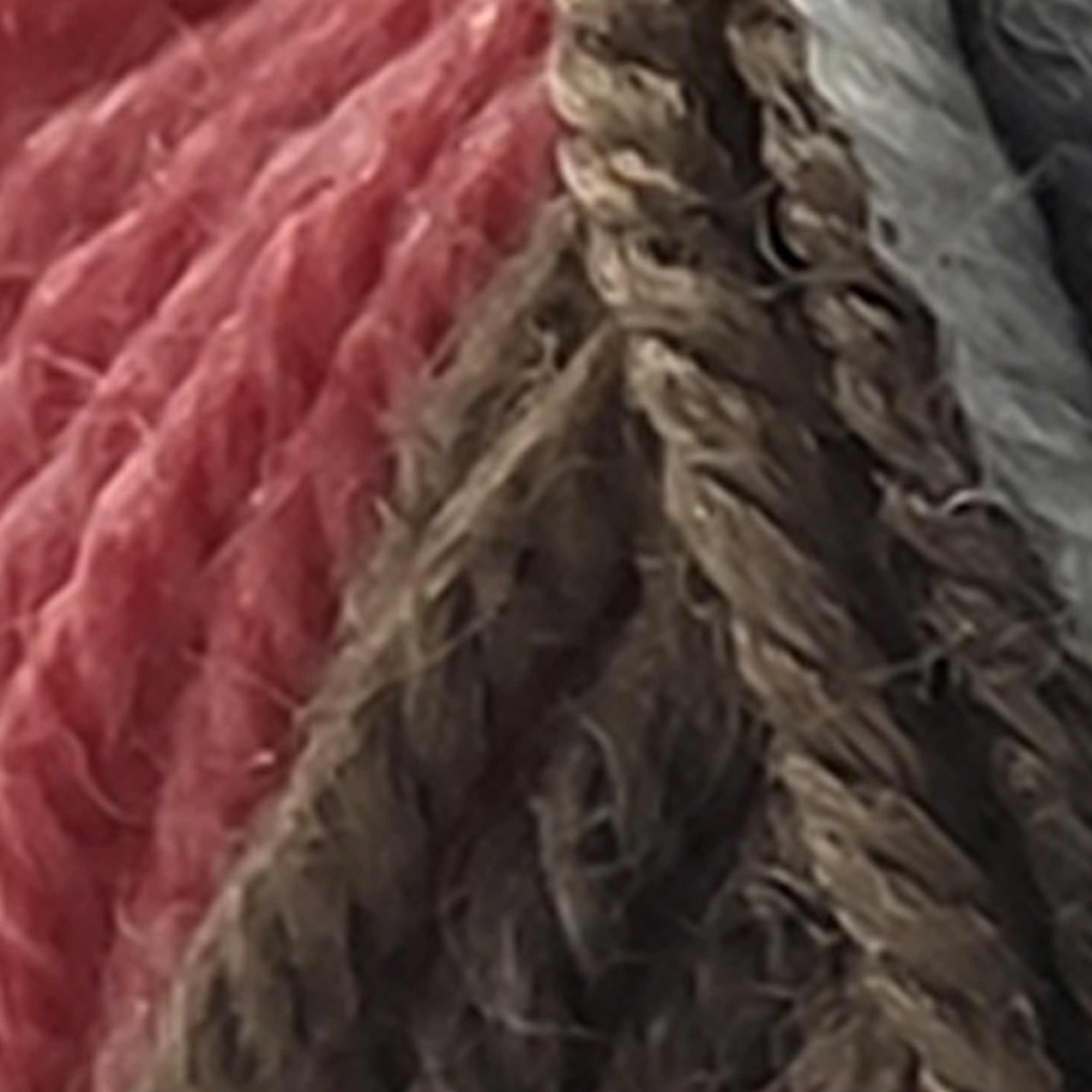 Variegated Coral - 5007