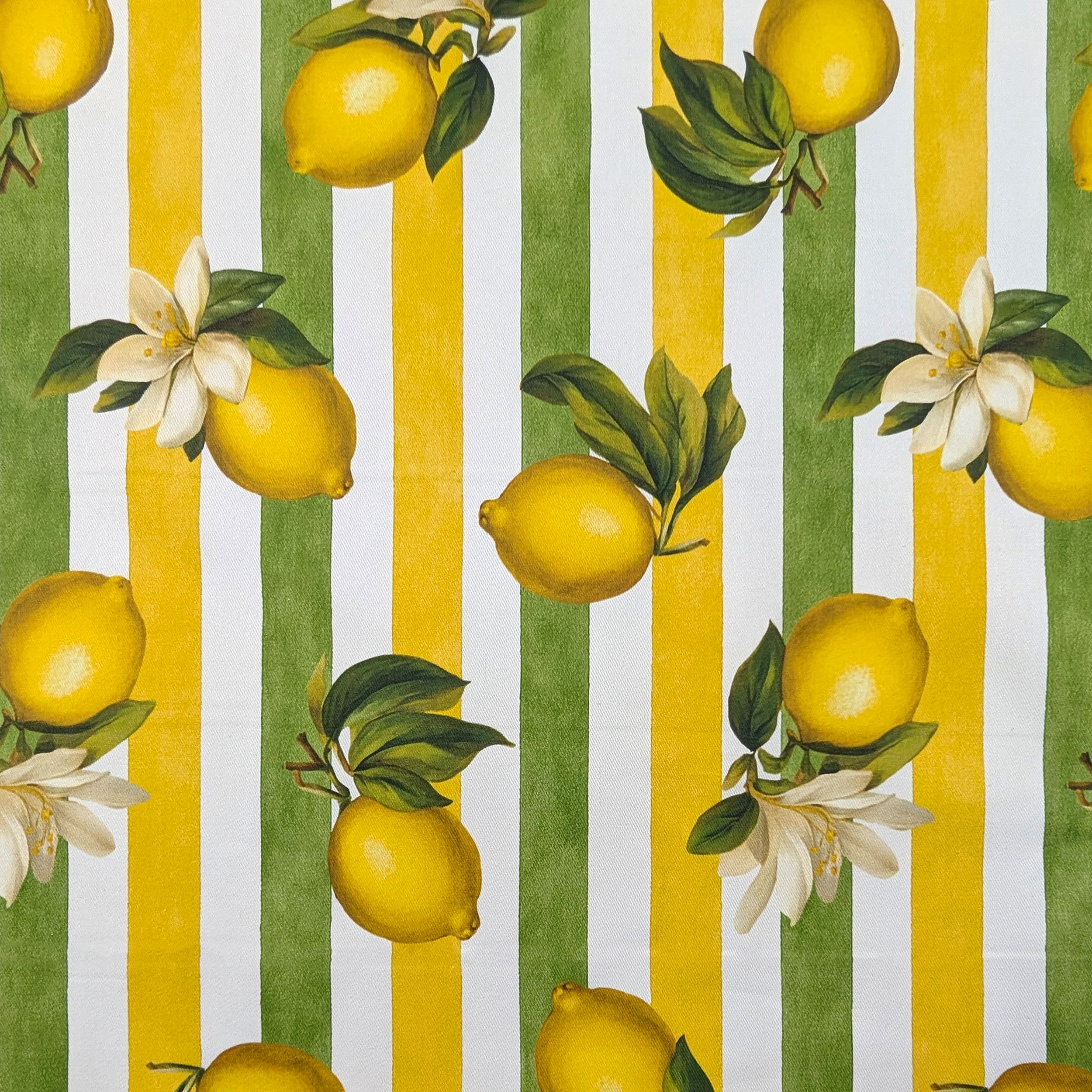 Panama Lemons and Summer Stripes Image