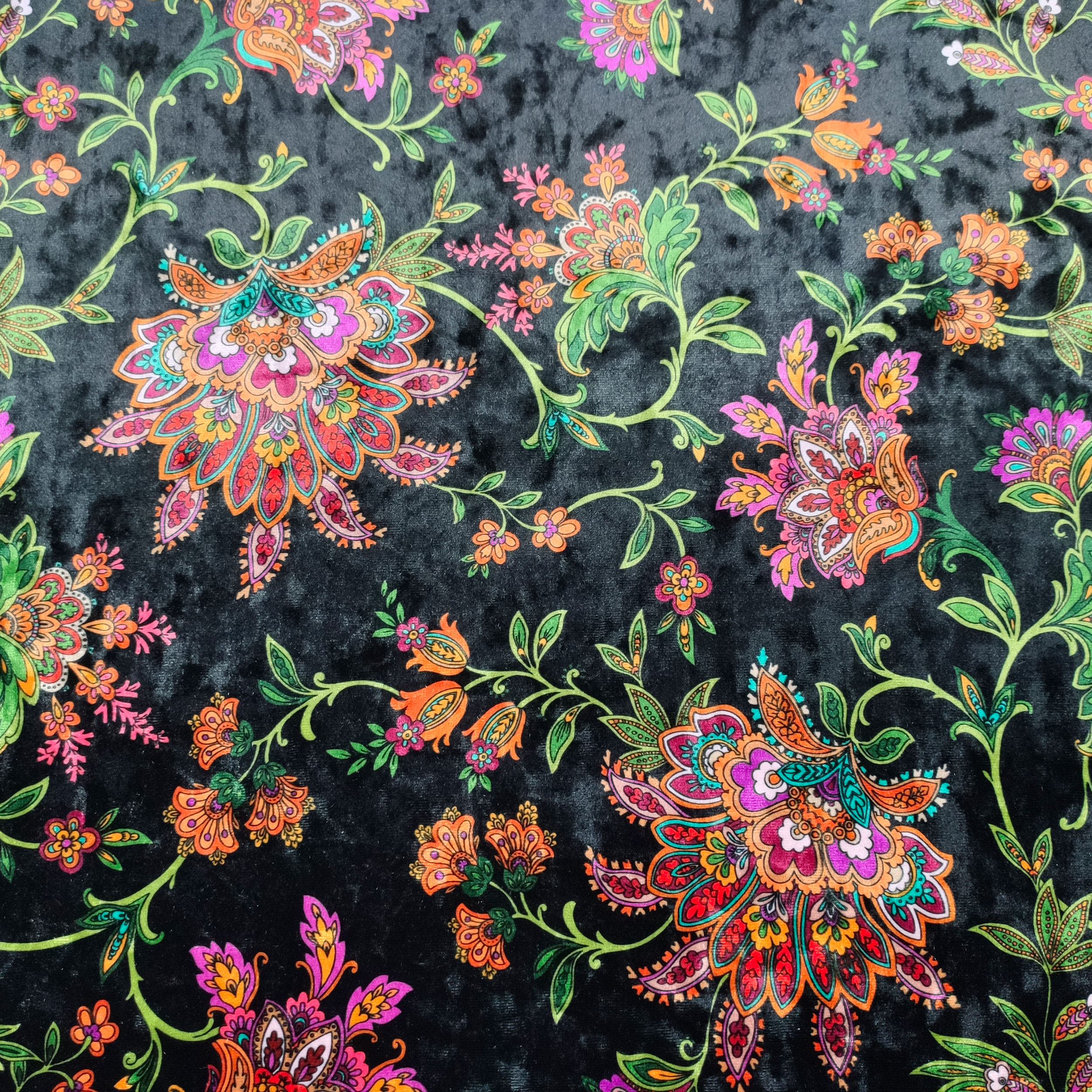 Velveteen Fashion Floral Patterns Black Background Image