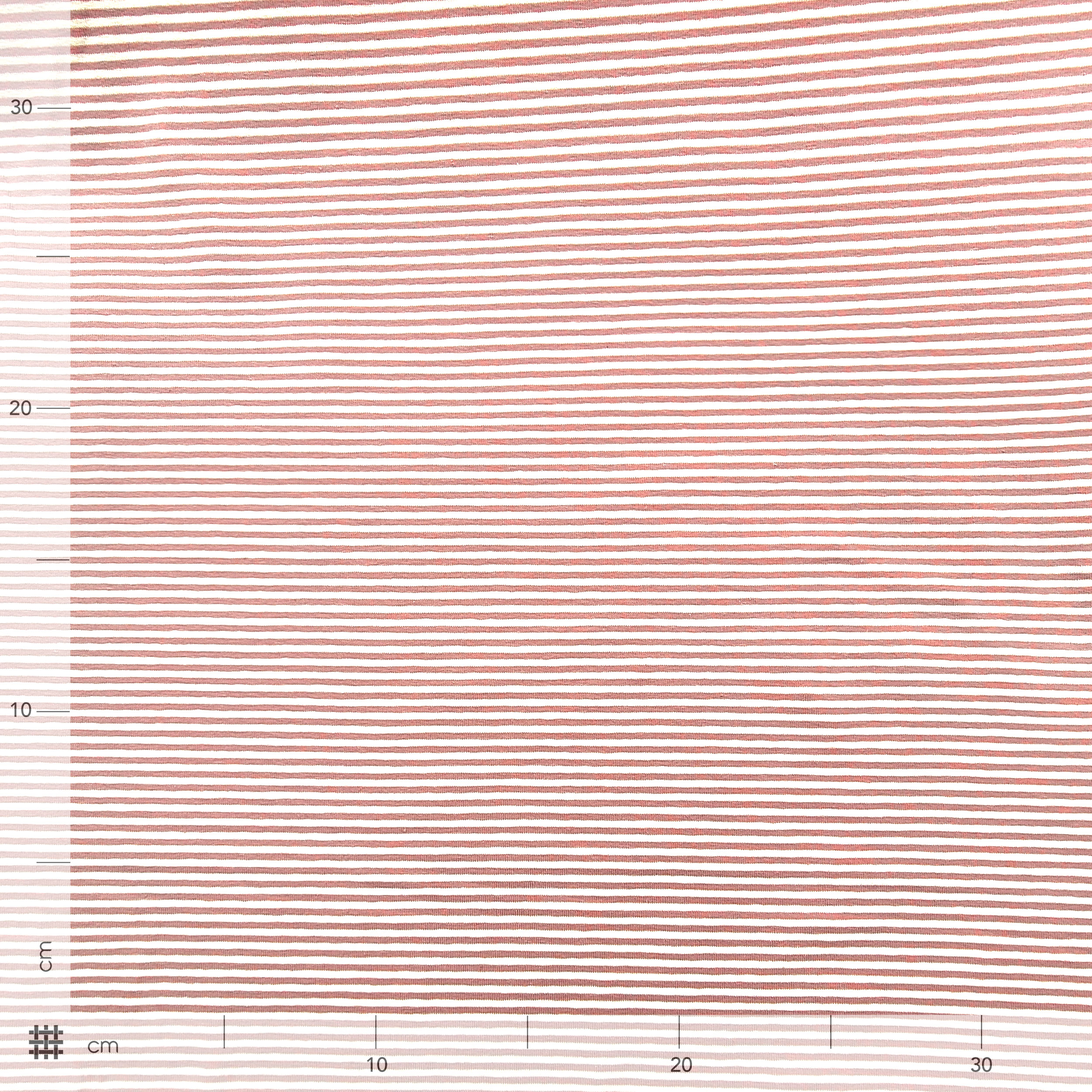 Yarn-dyed Jersey Cotton Coloured Stripes Image