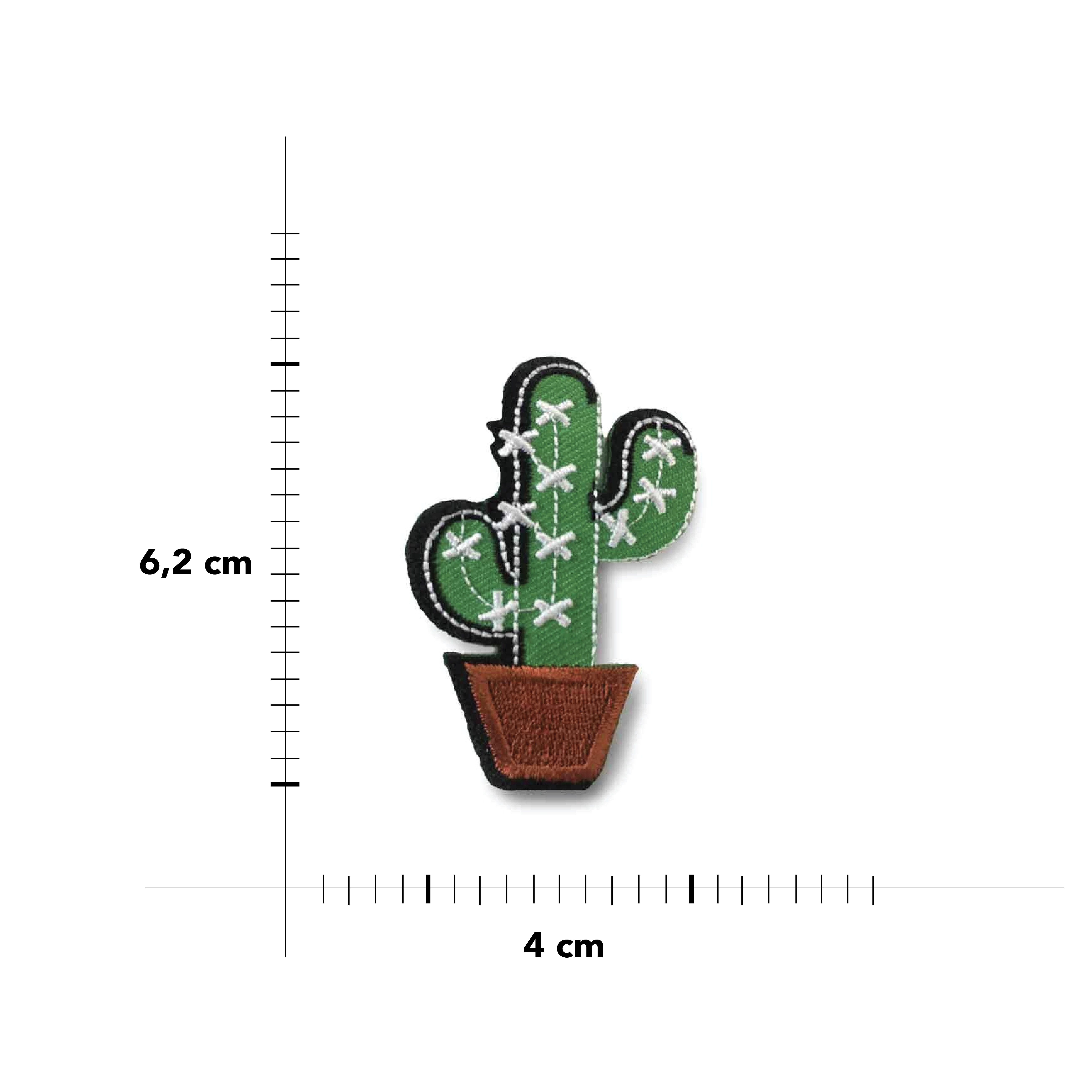  Applicazione Pianta Cactus