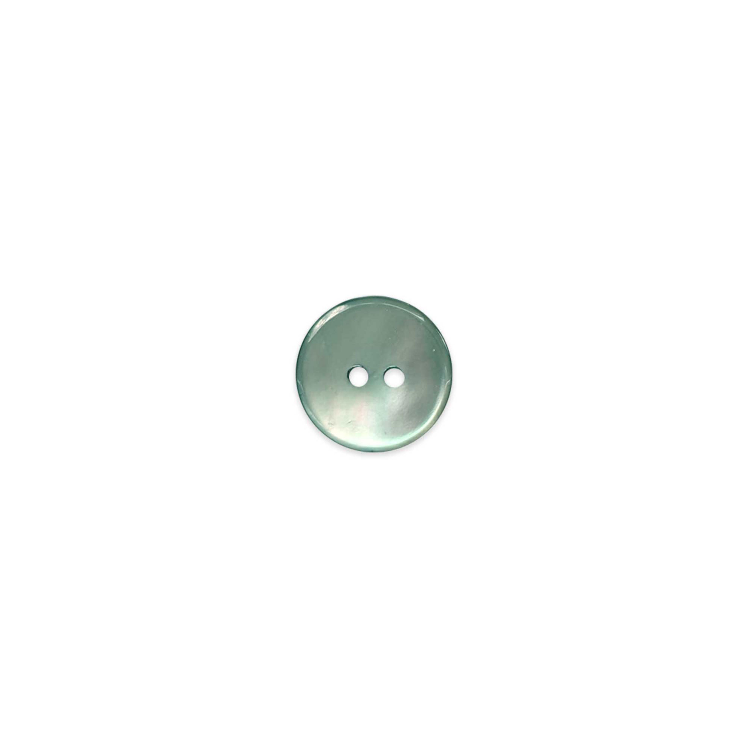 Mother-of-pearl button 2 holes Mint Lin 24 Image