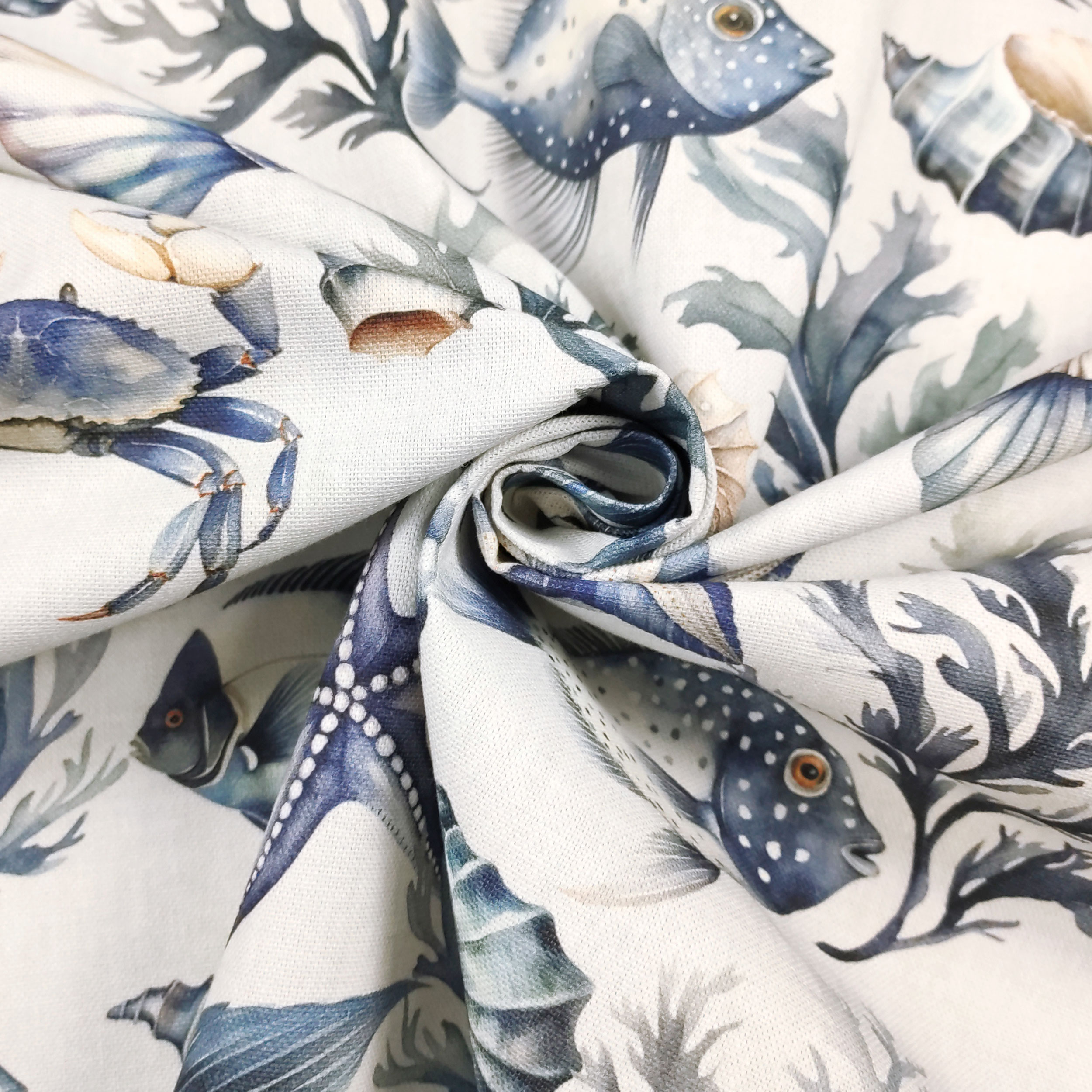 Panama Shells Starfish and Fish Image