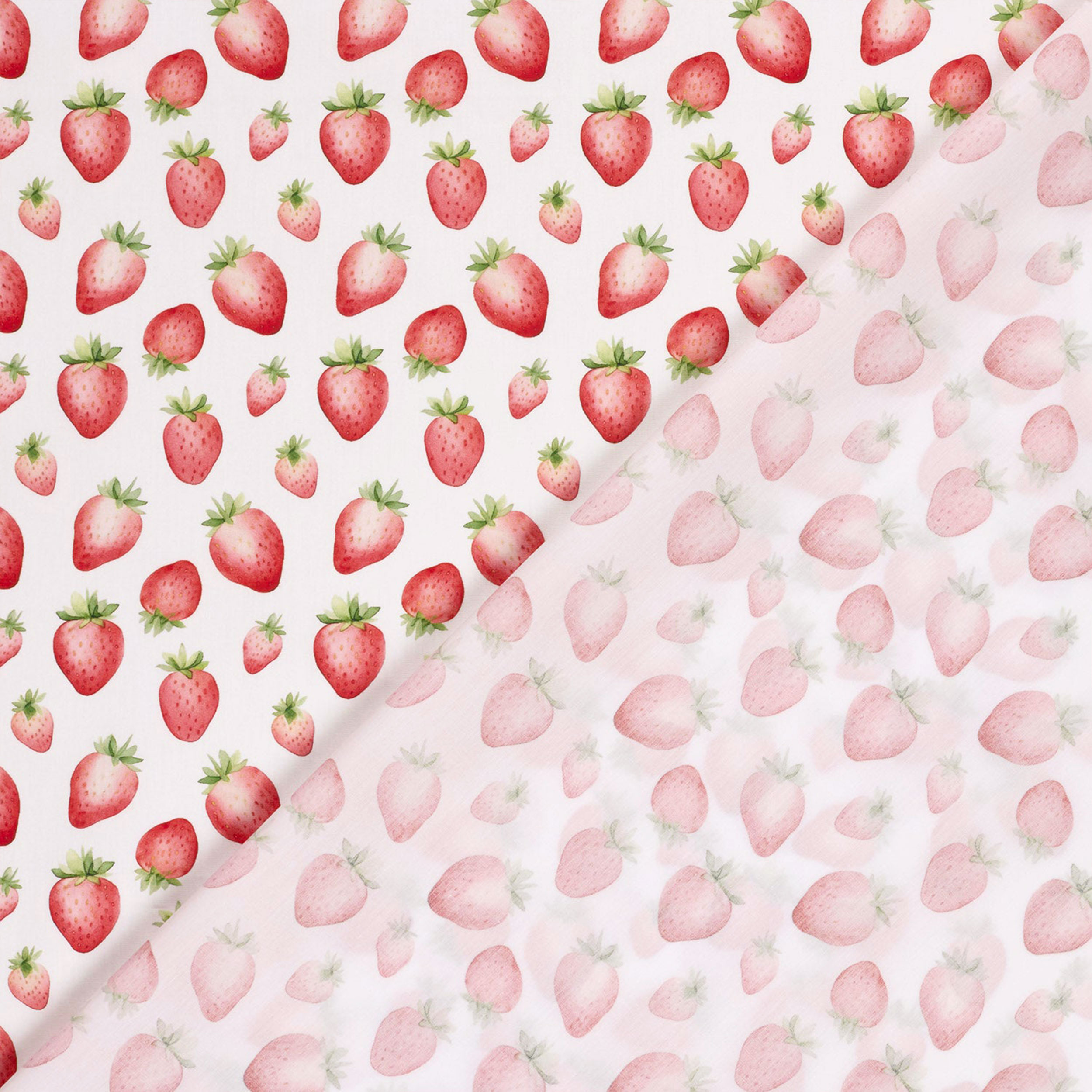 Poplin Cotton Strawberry White Background Image
