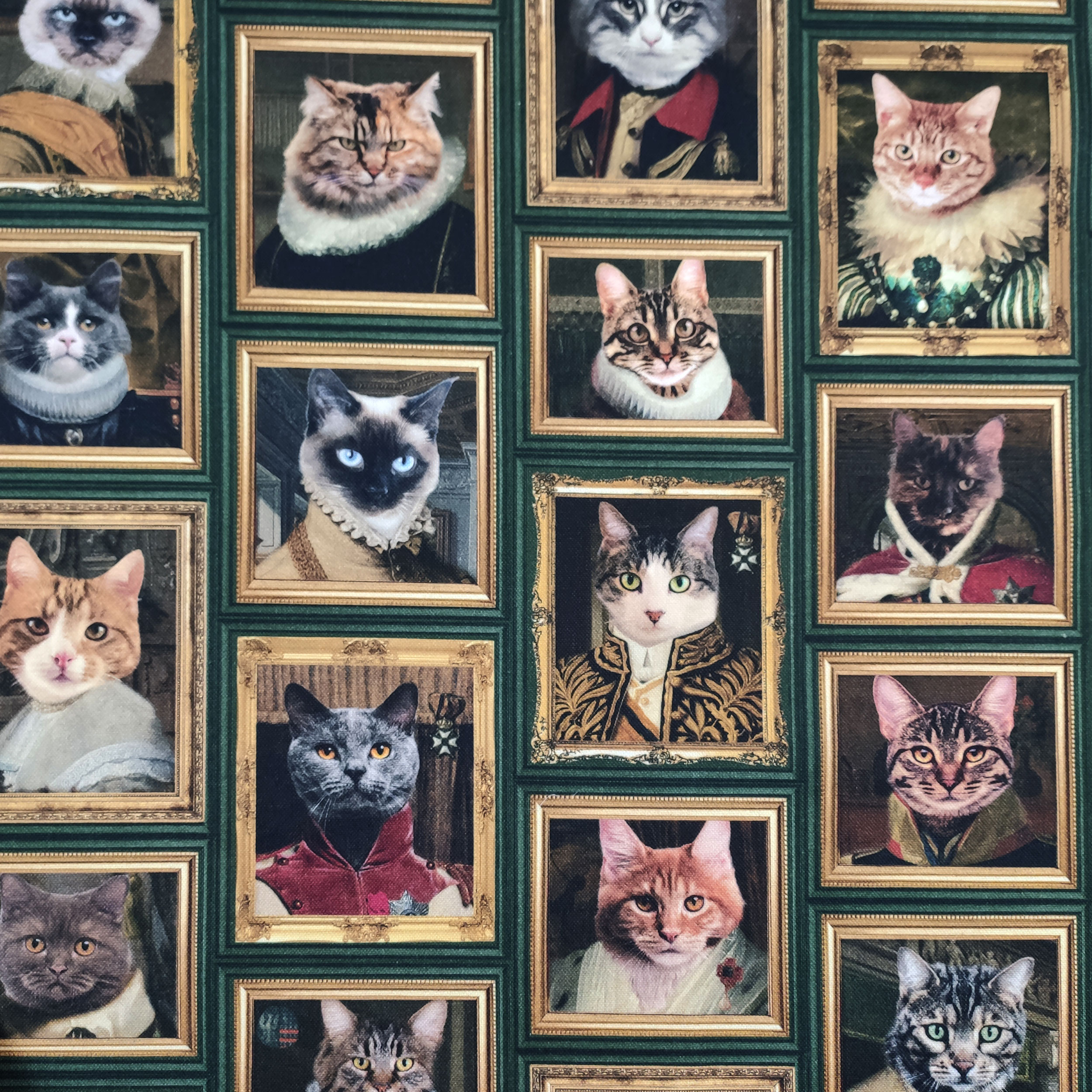 Tela cuadrada de algodón de Panamá con gatos