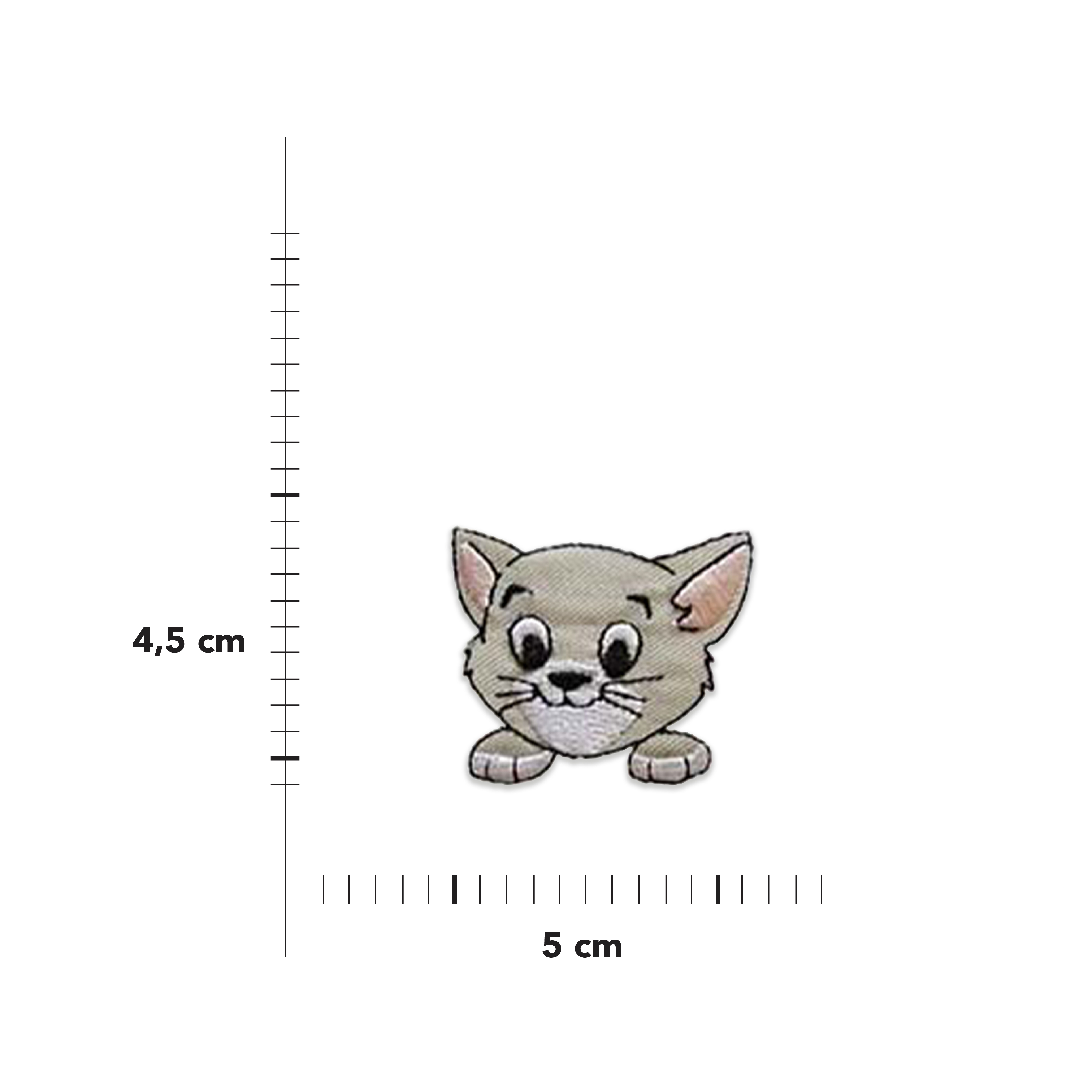  Thermoadhesive application Kitten Image