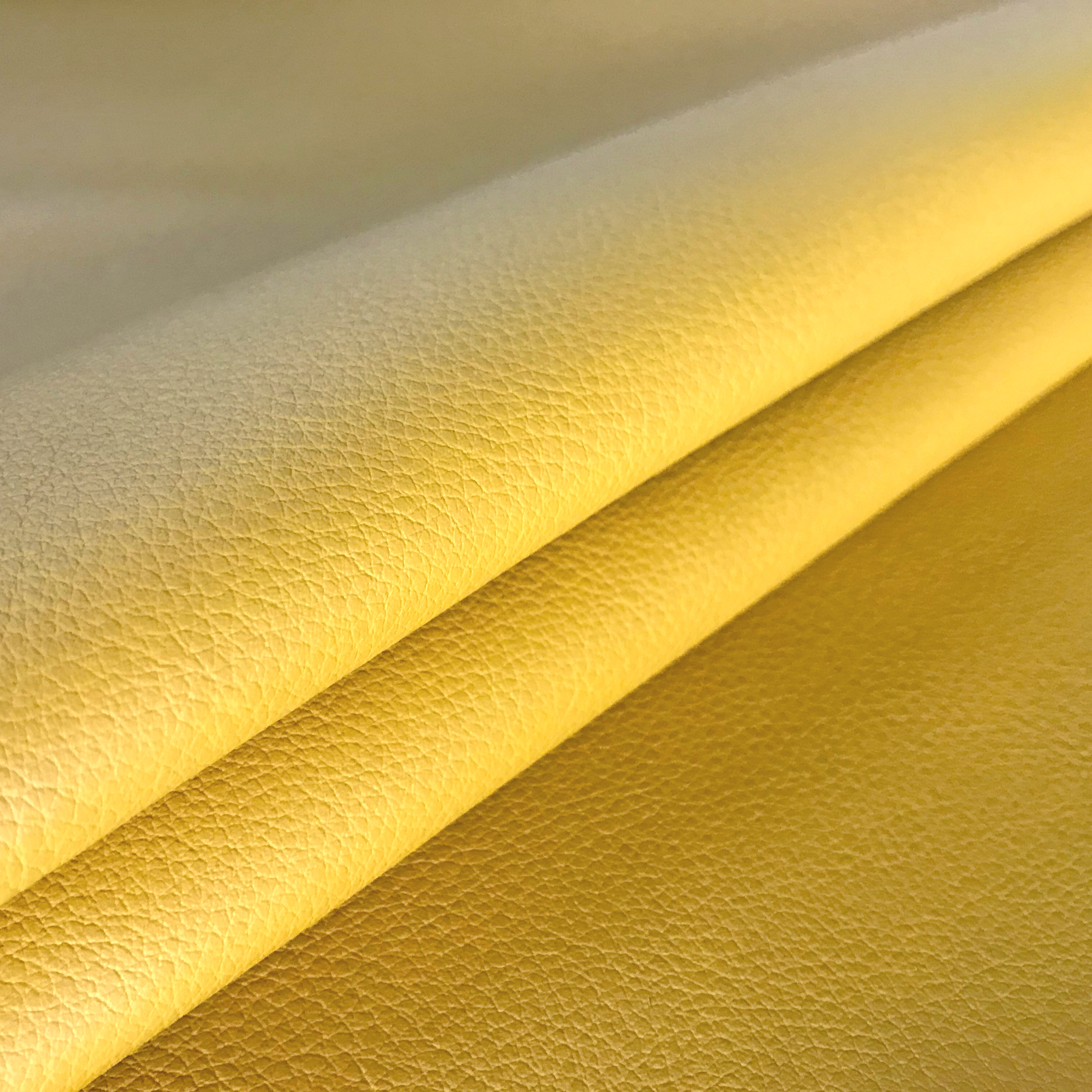 Jaune - 14