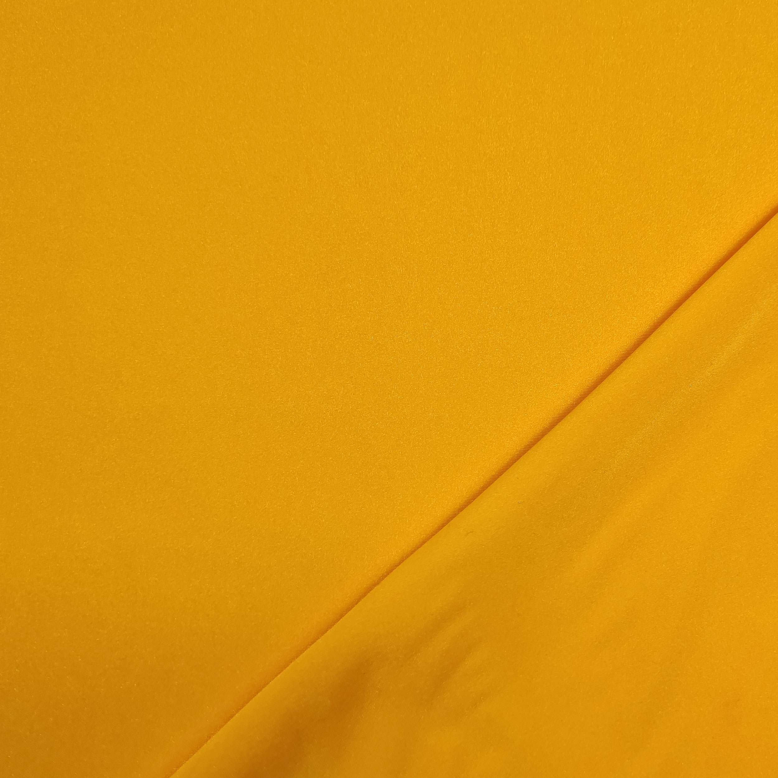 Lycra Lisa Image