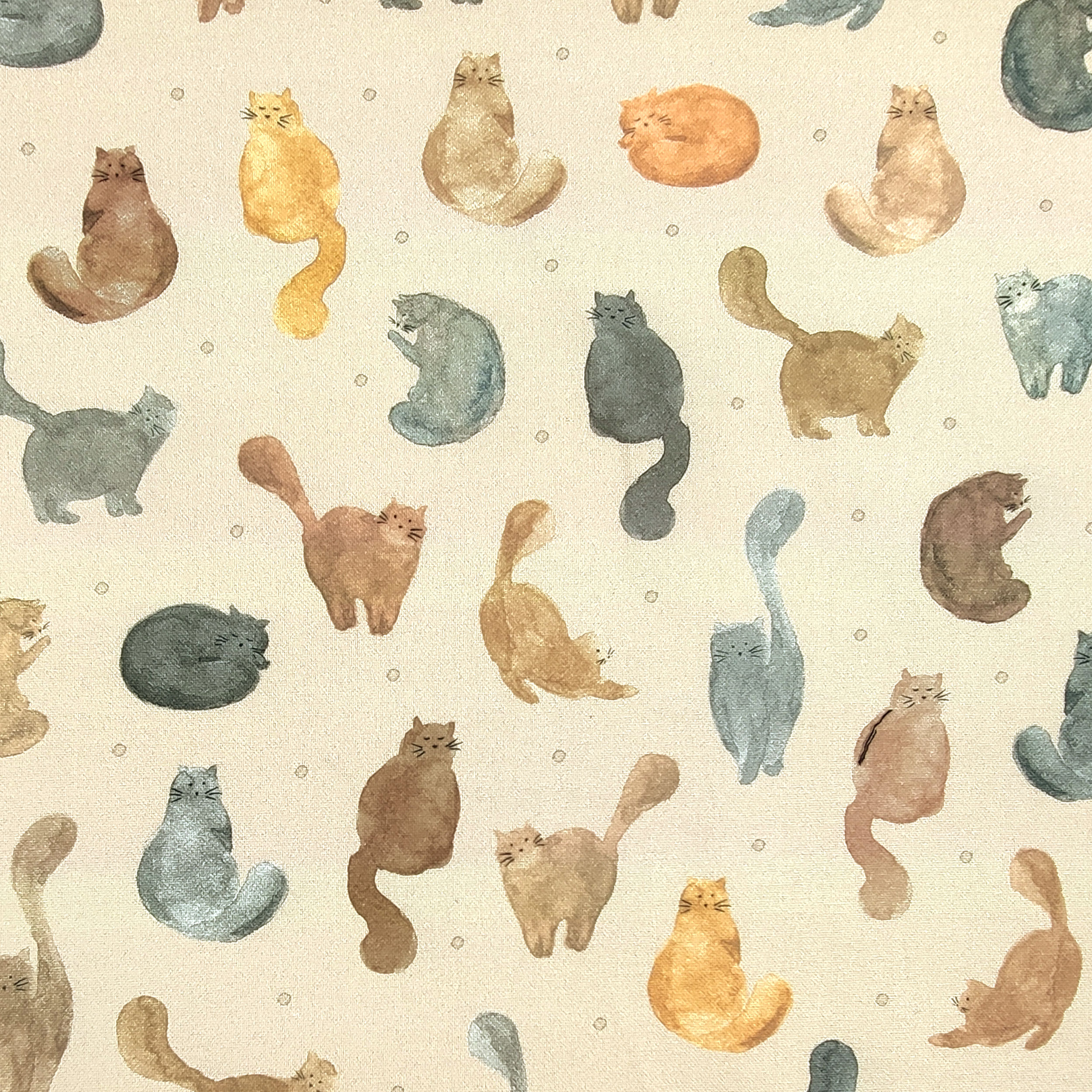 Gatos de algodón puro de Panamá