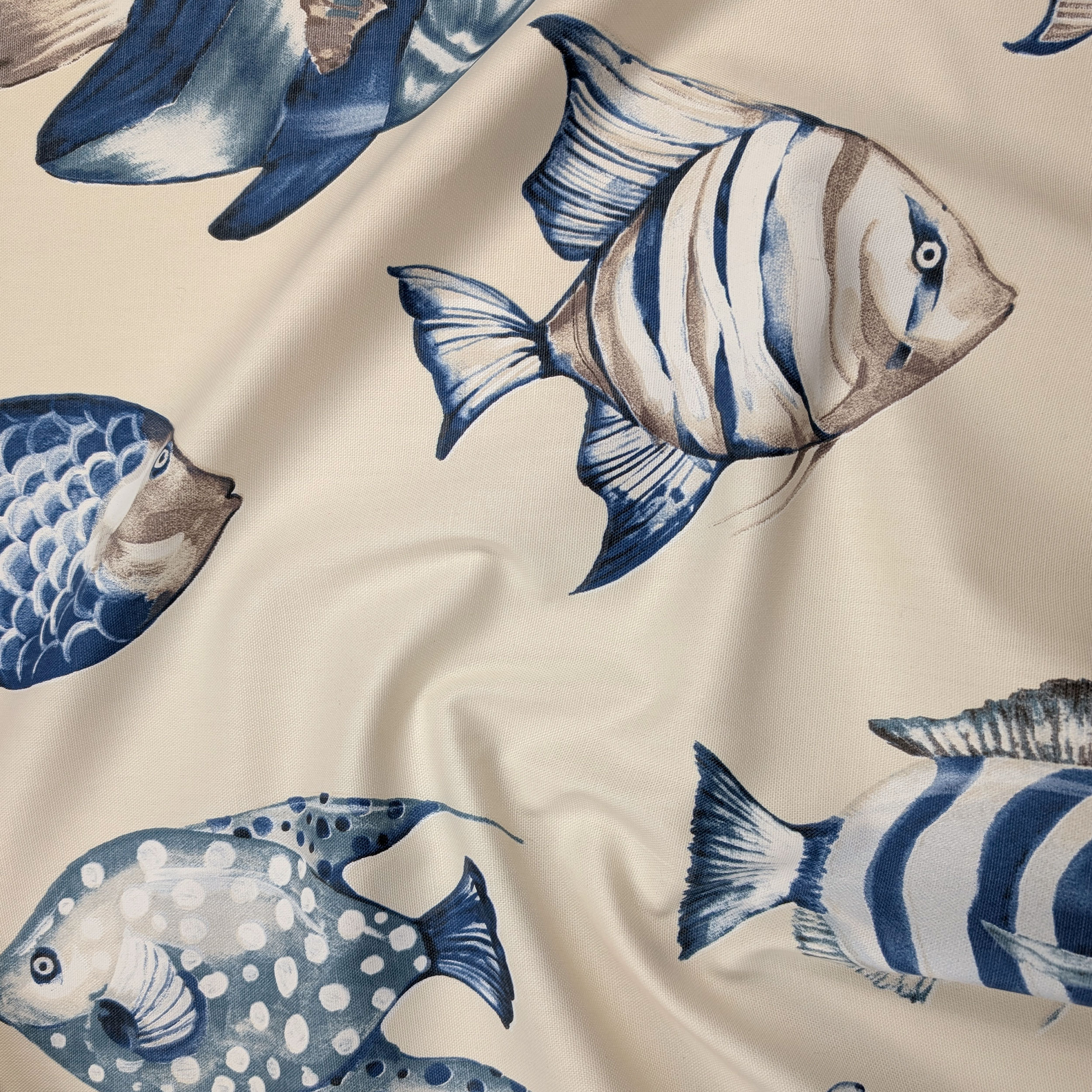 Panama Fantasy Big Fish Blue Image