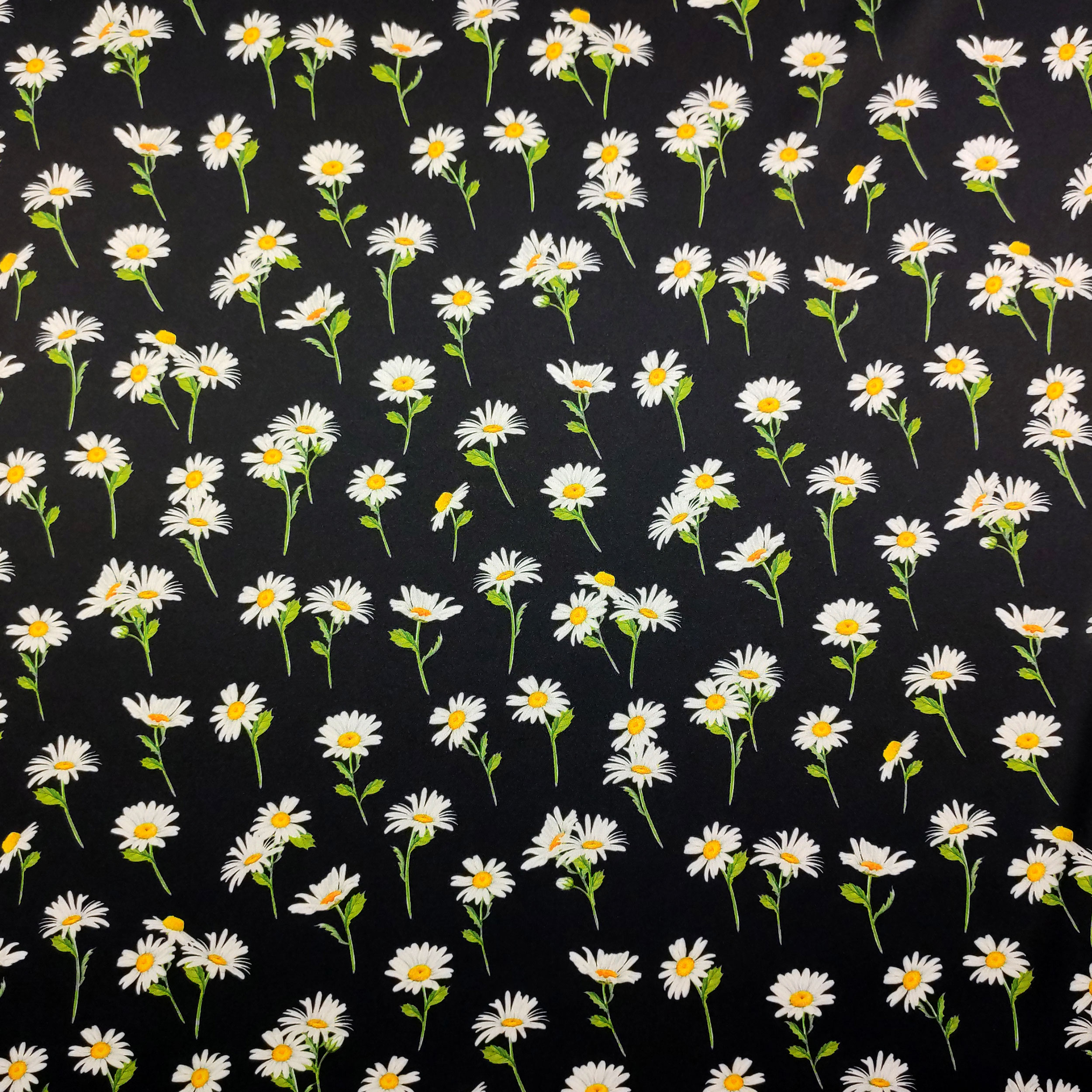 Ensemble élastiqué Rasetto Fashion Black Daisies