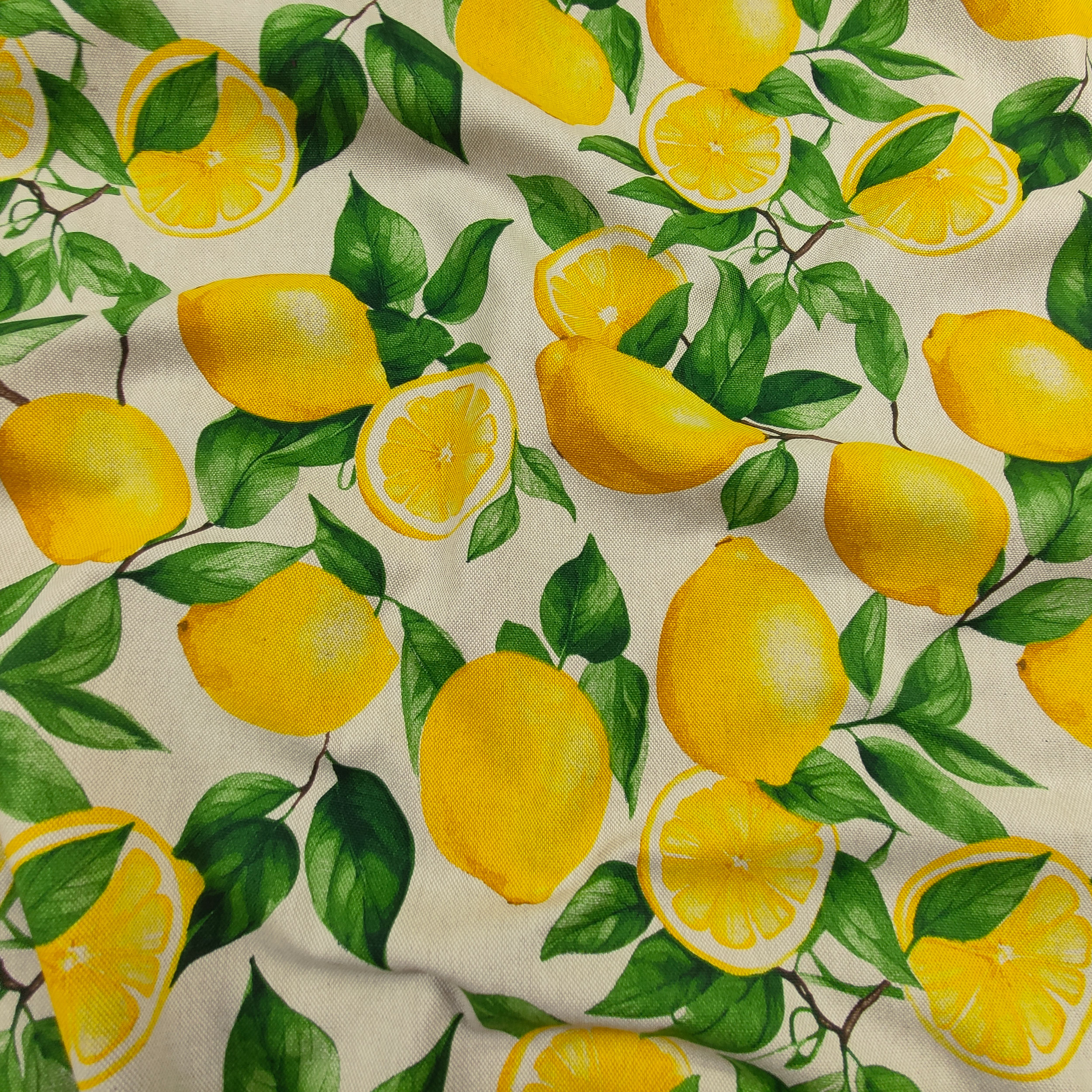 Panama Lemons Background Beige