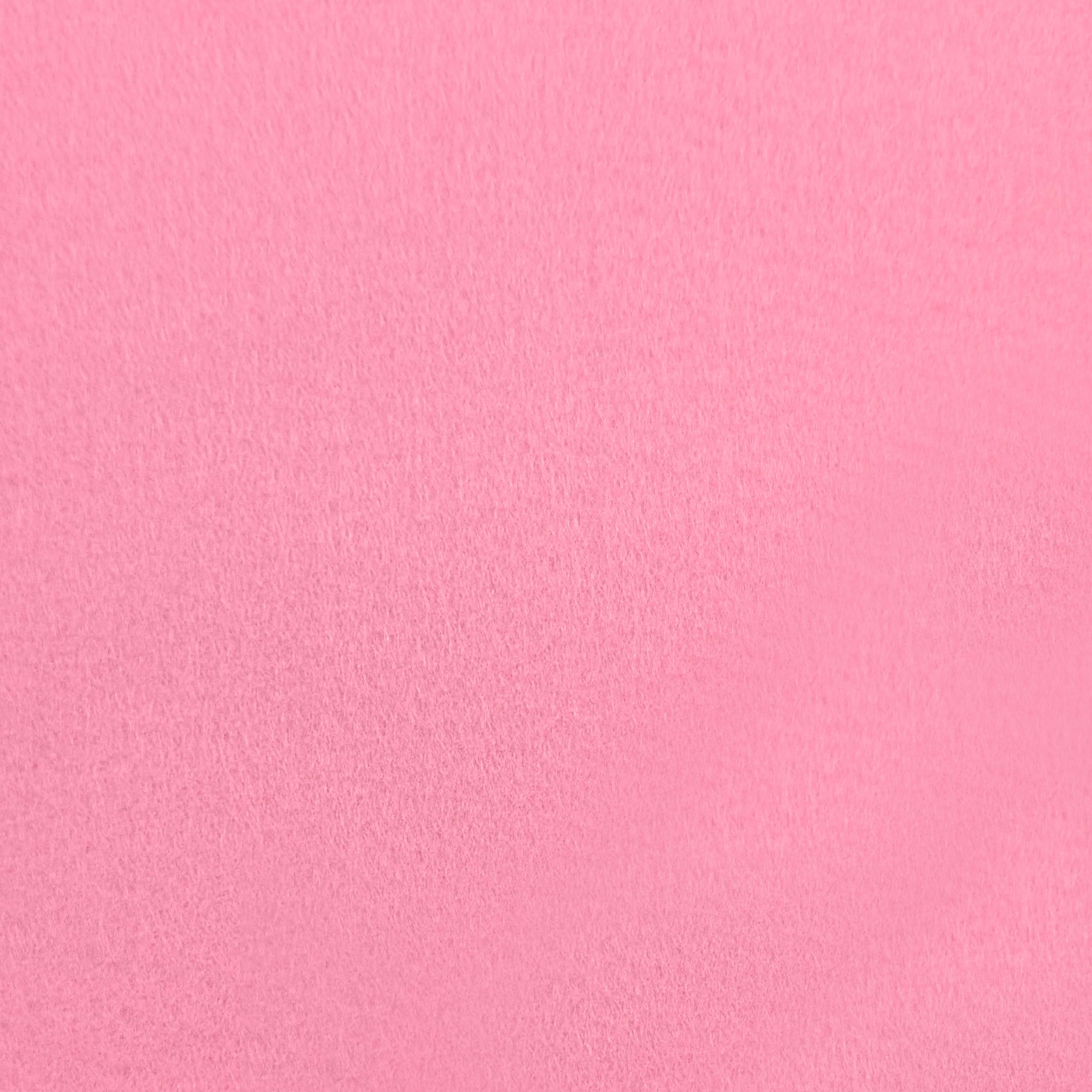 Flamingo Rose - 1429