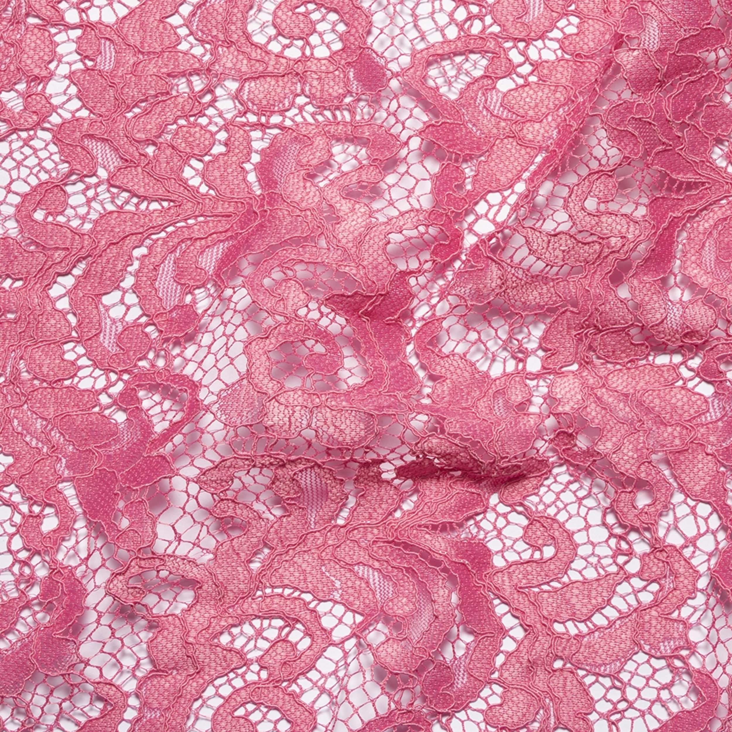 Rose - H124
