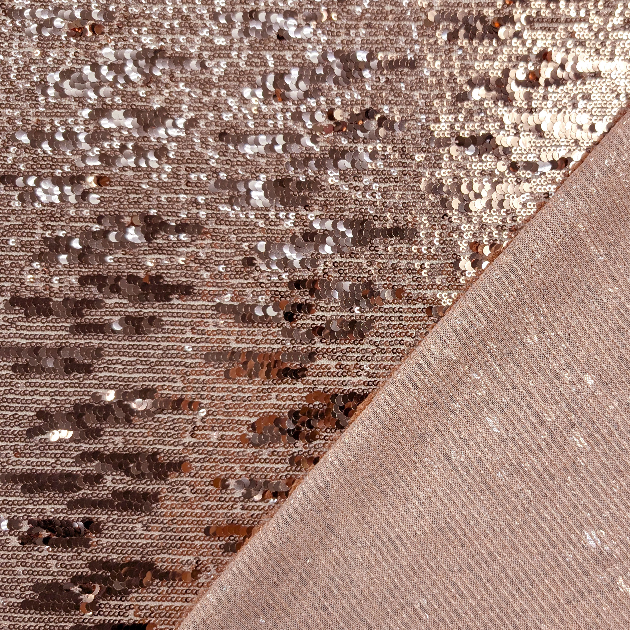 Cascading Sequins on Tulle Fabric Image