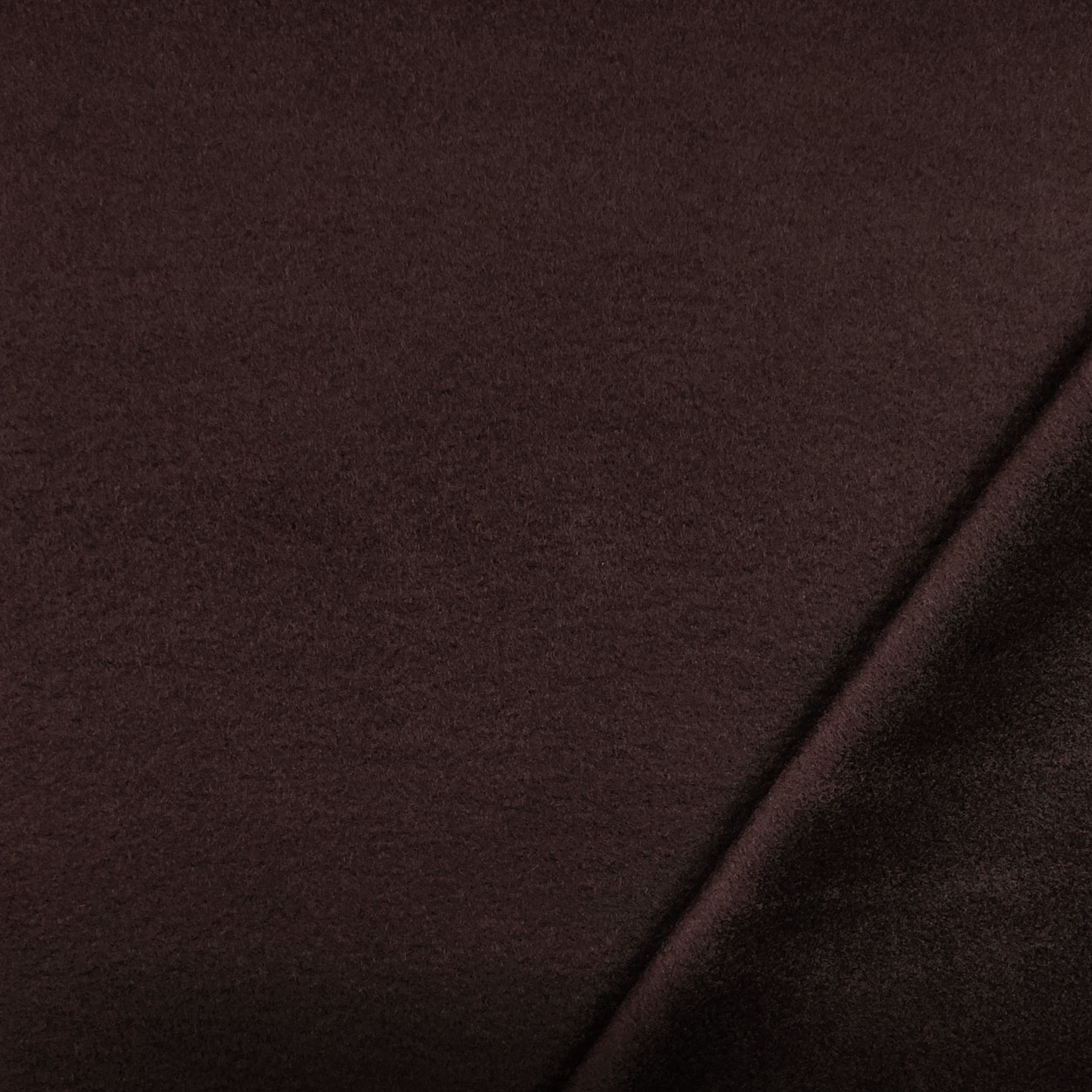 Polar Fleece  Image