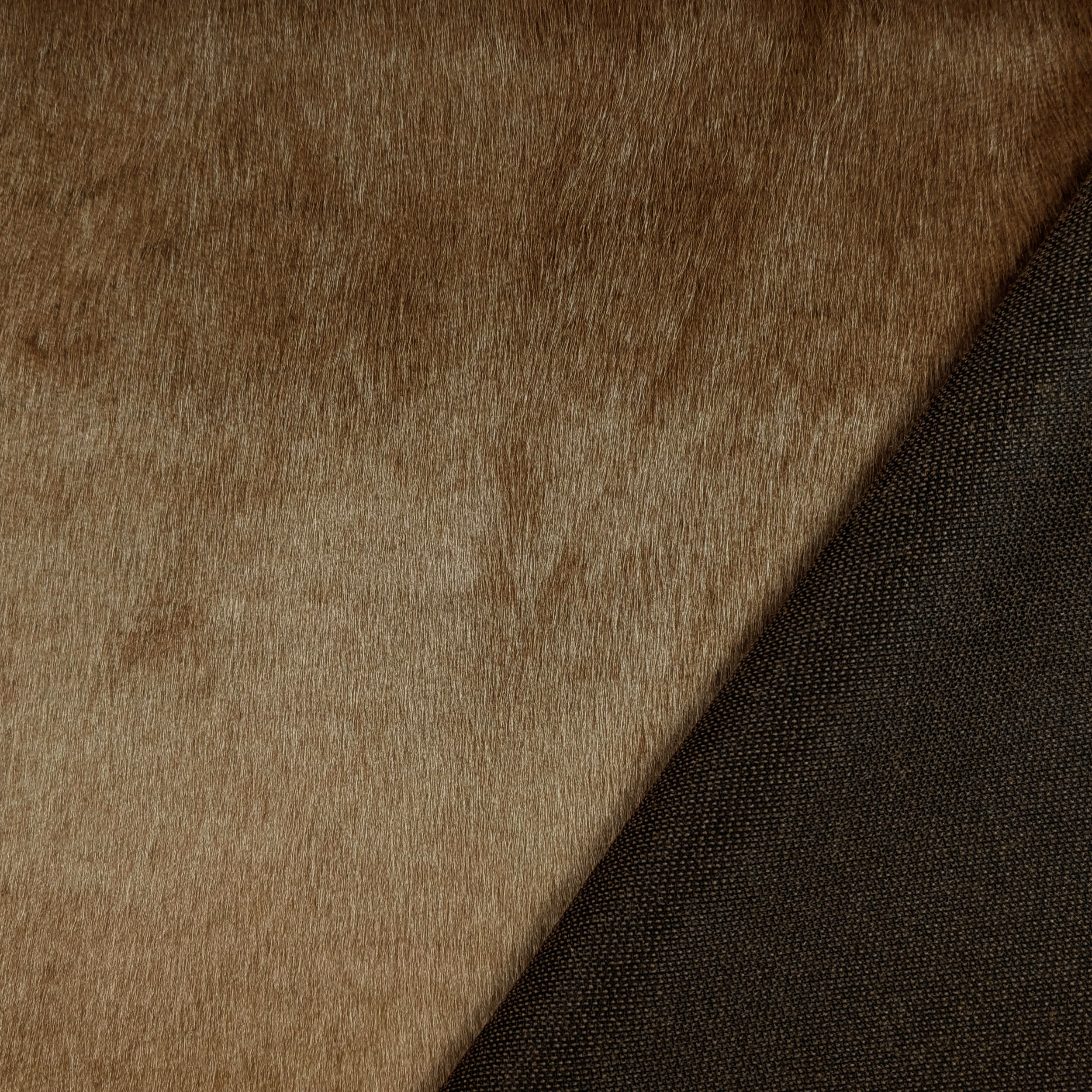 Biscuit Heavy Fur Image