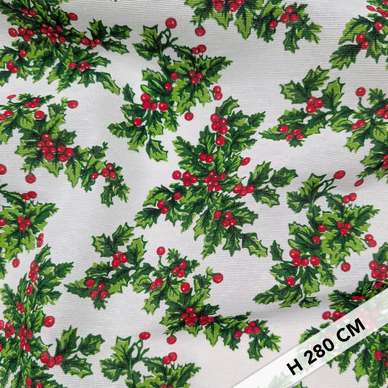 Panama with Christmas Shamrock Fantasy Image