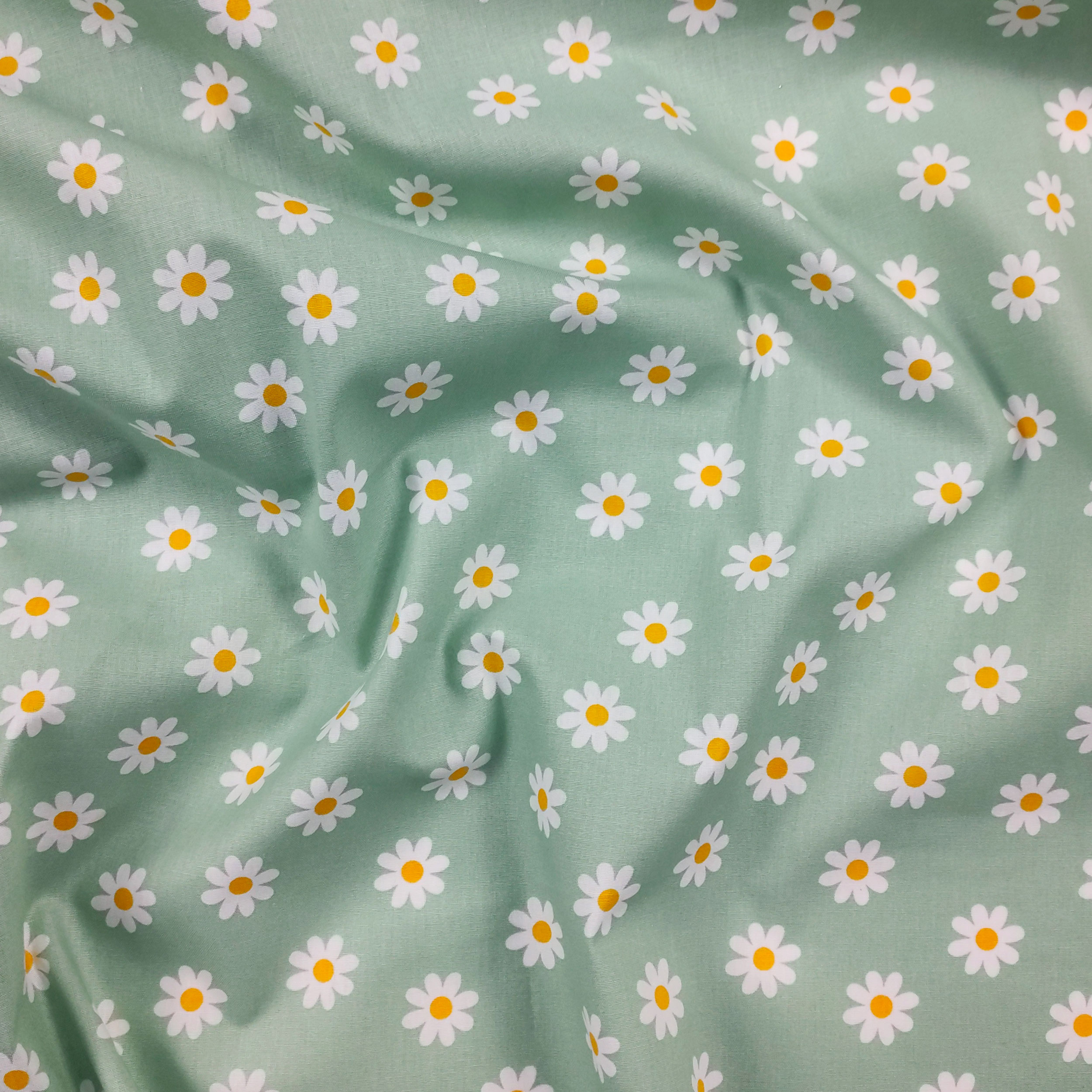 Cotton Poplin Daisies Mint Background Image