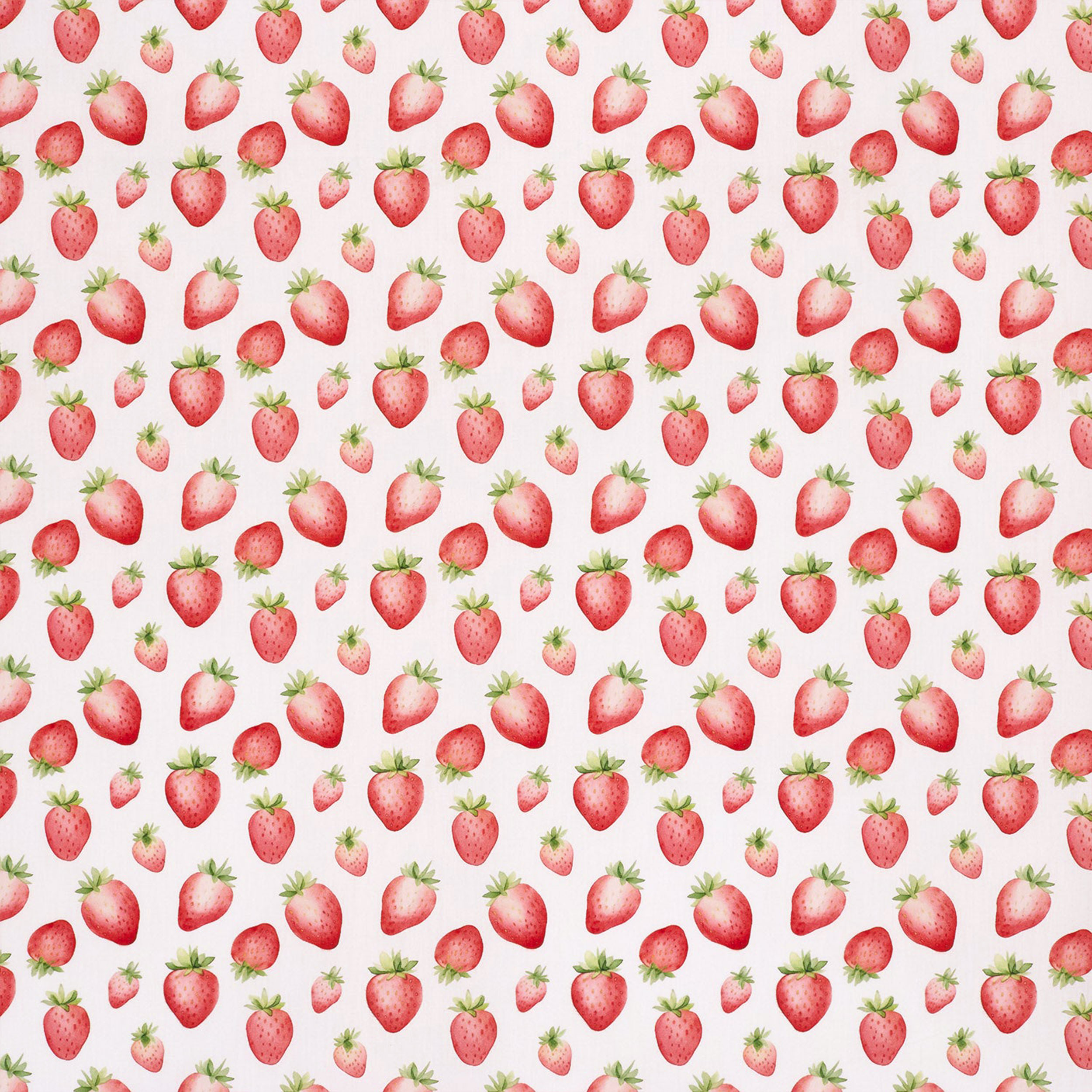 Poplin Cotton Strawberry White Background Image