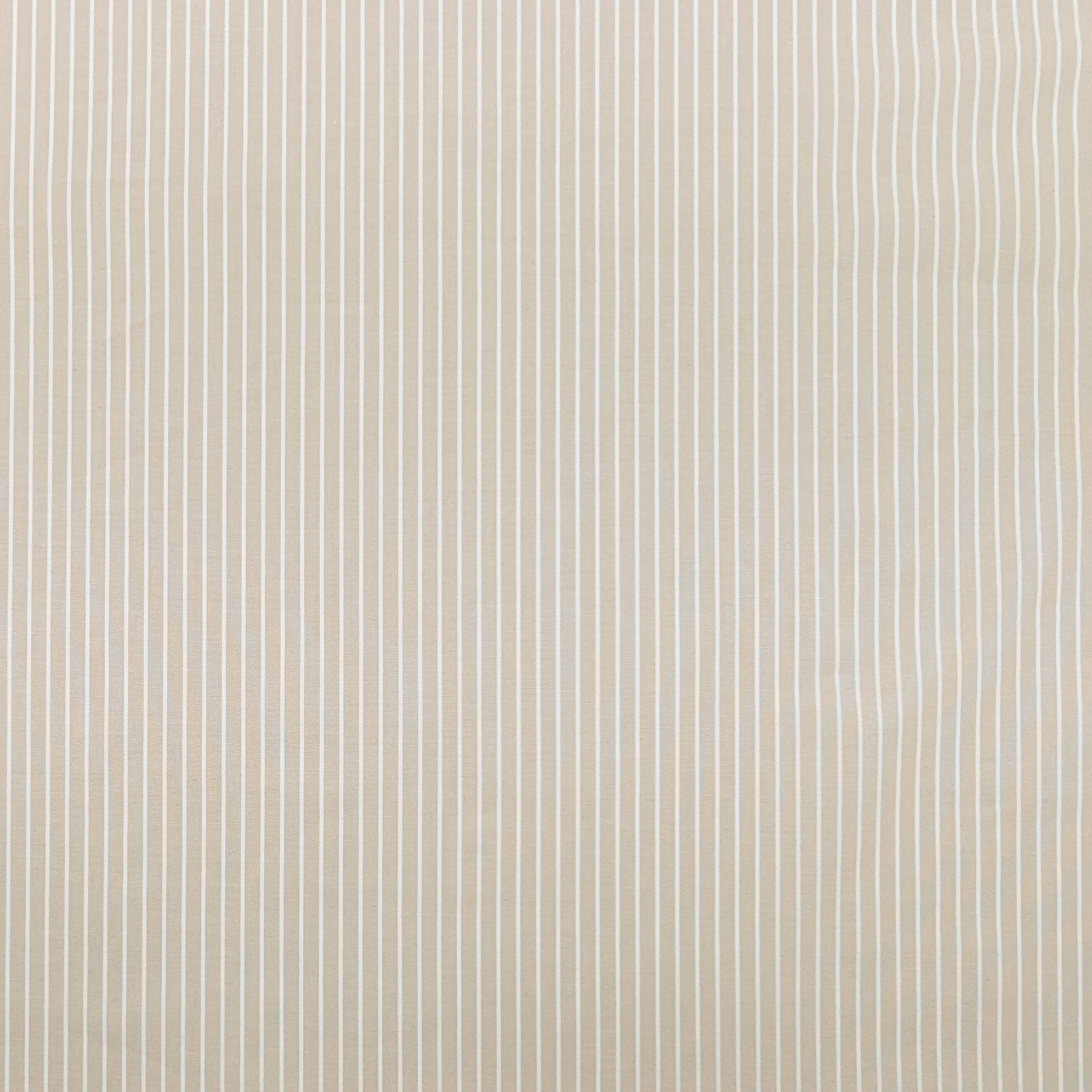 Stretch Cotton for Shirts Beige White Stripes Image
