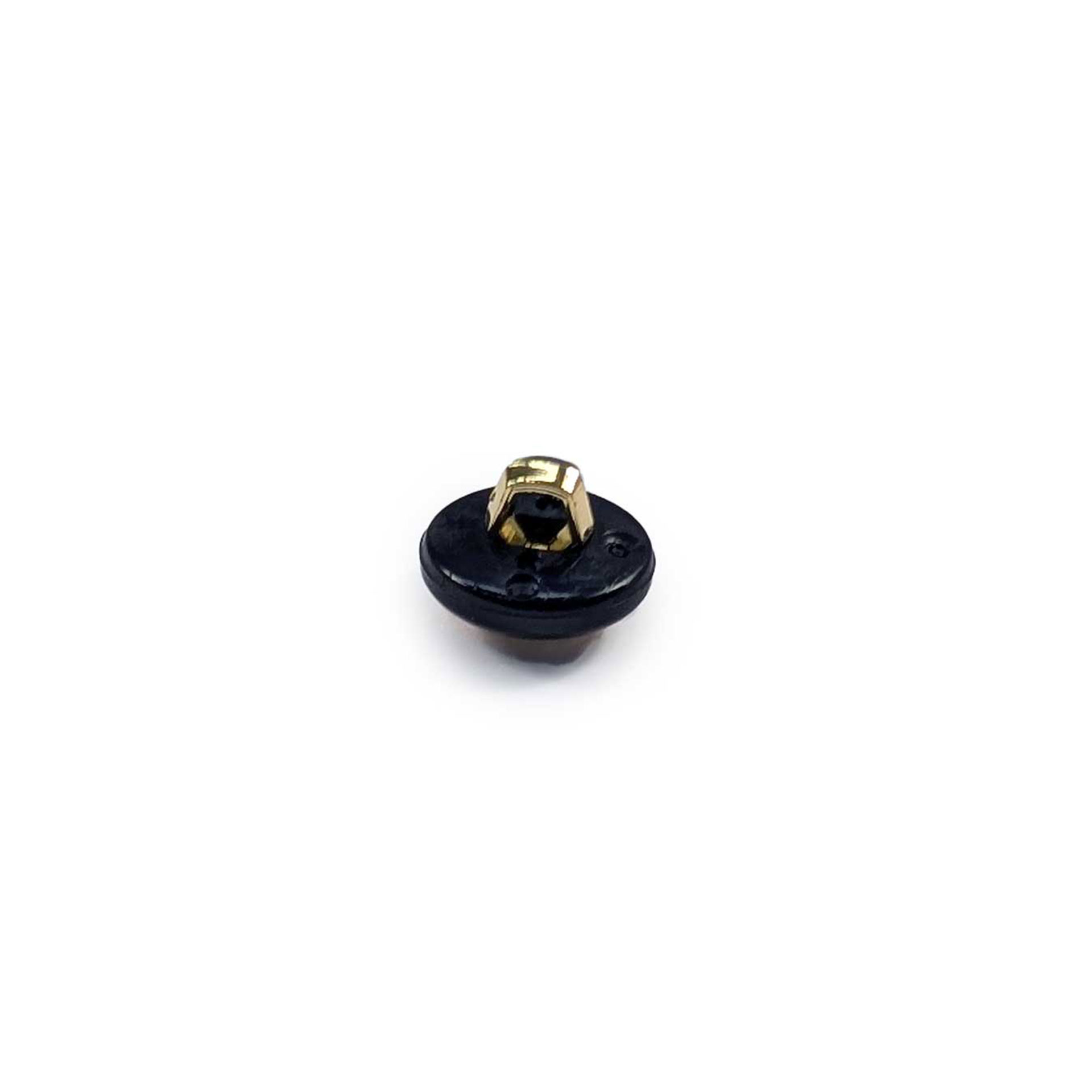Blue Button with Golden Almond Image