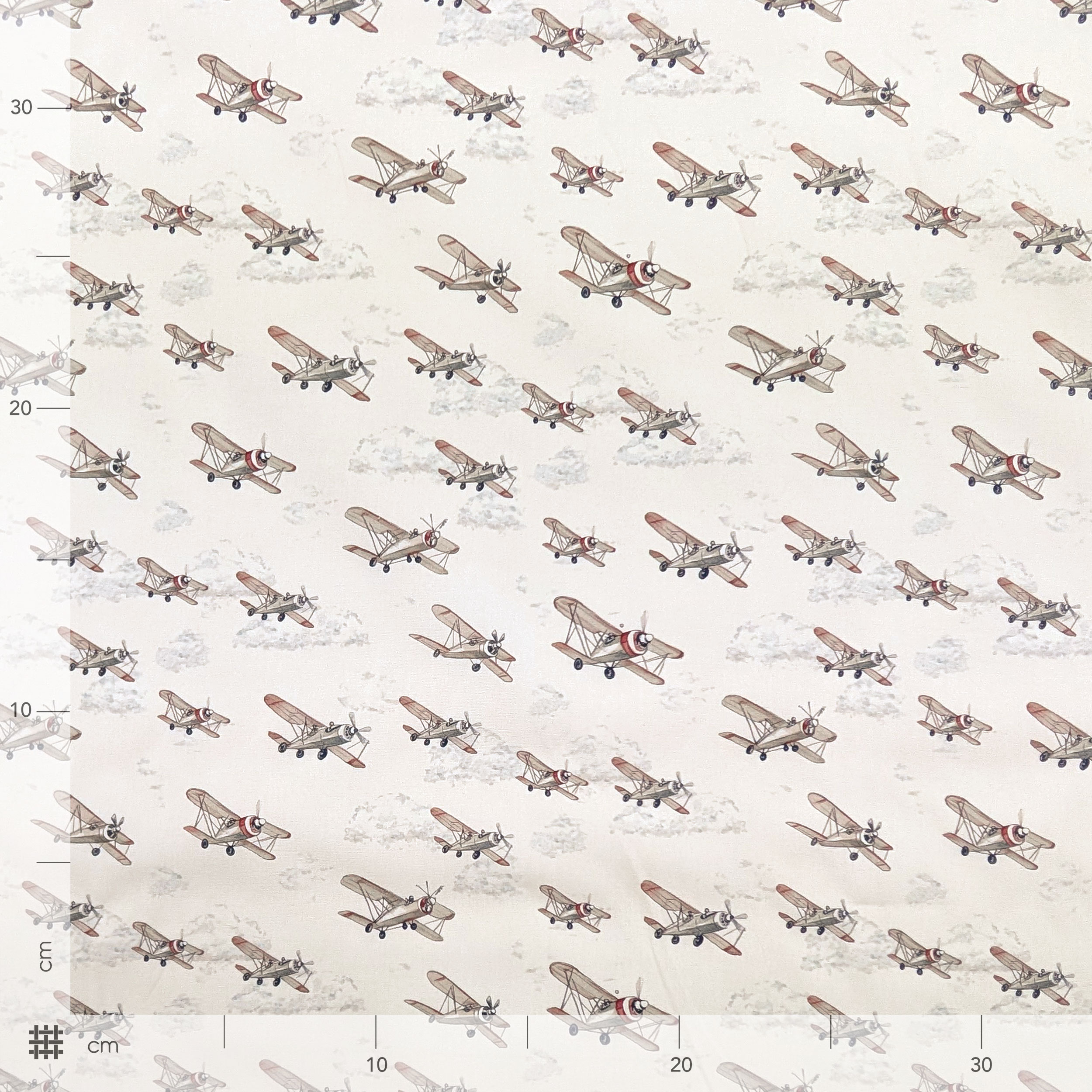 Biplani Vintage Cotton Poplin Image