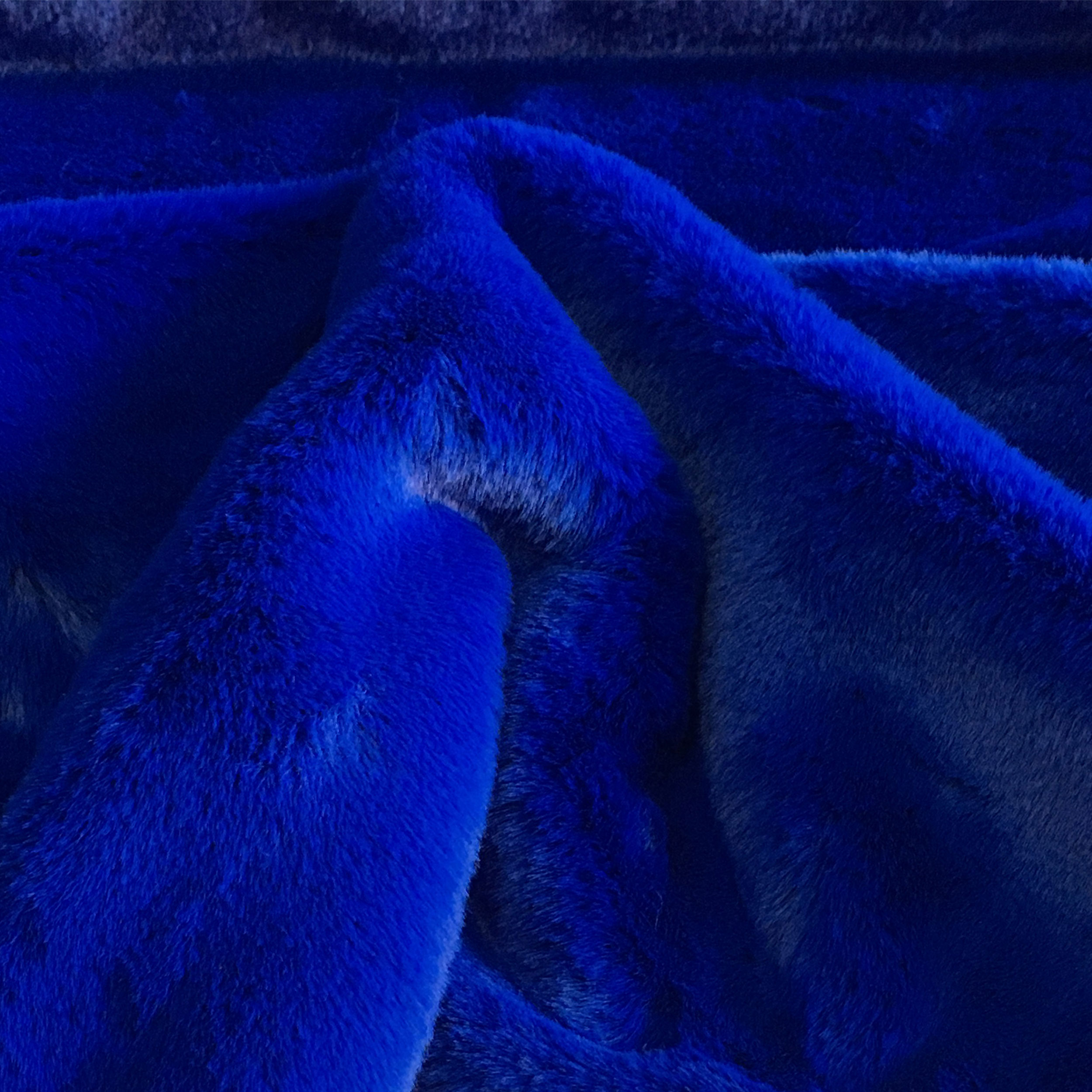 Bleu électrique - 12