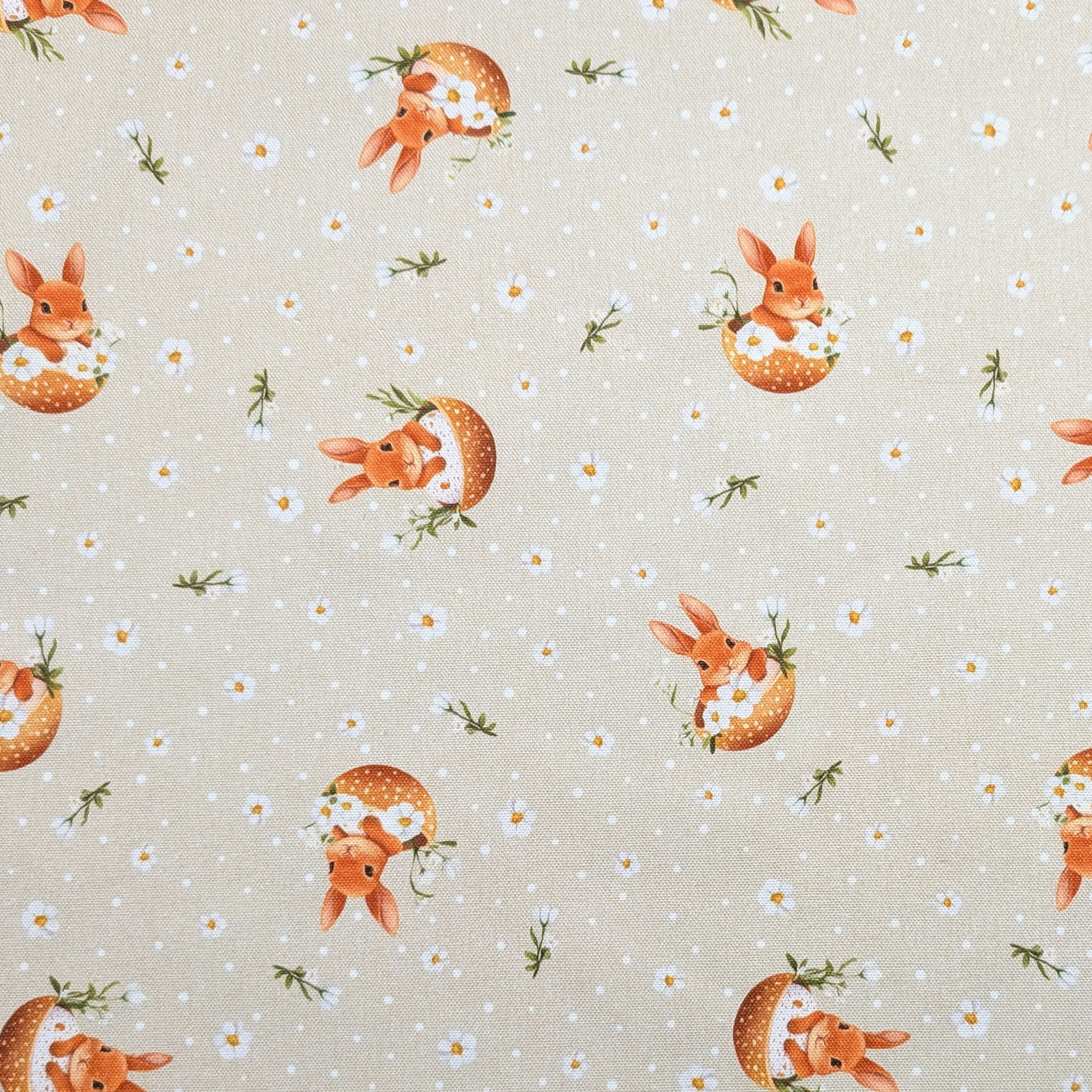Panama Daisies and Easter Bunnies Image