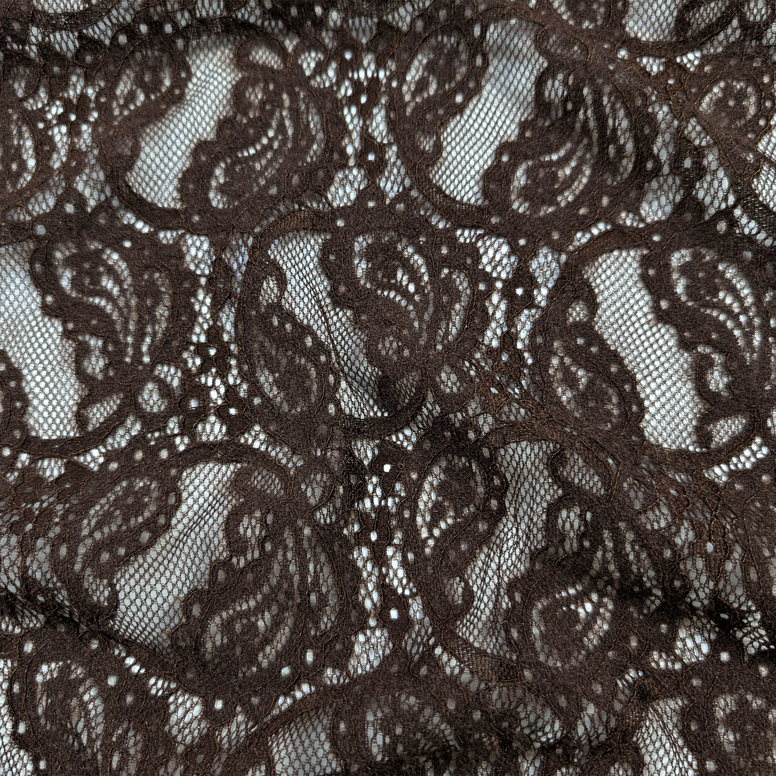 Lace Double Edge Bi-elastic Brown Image