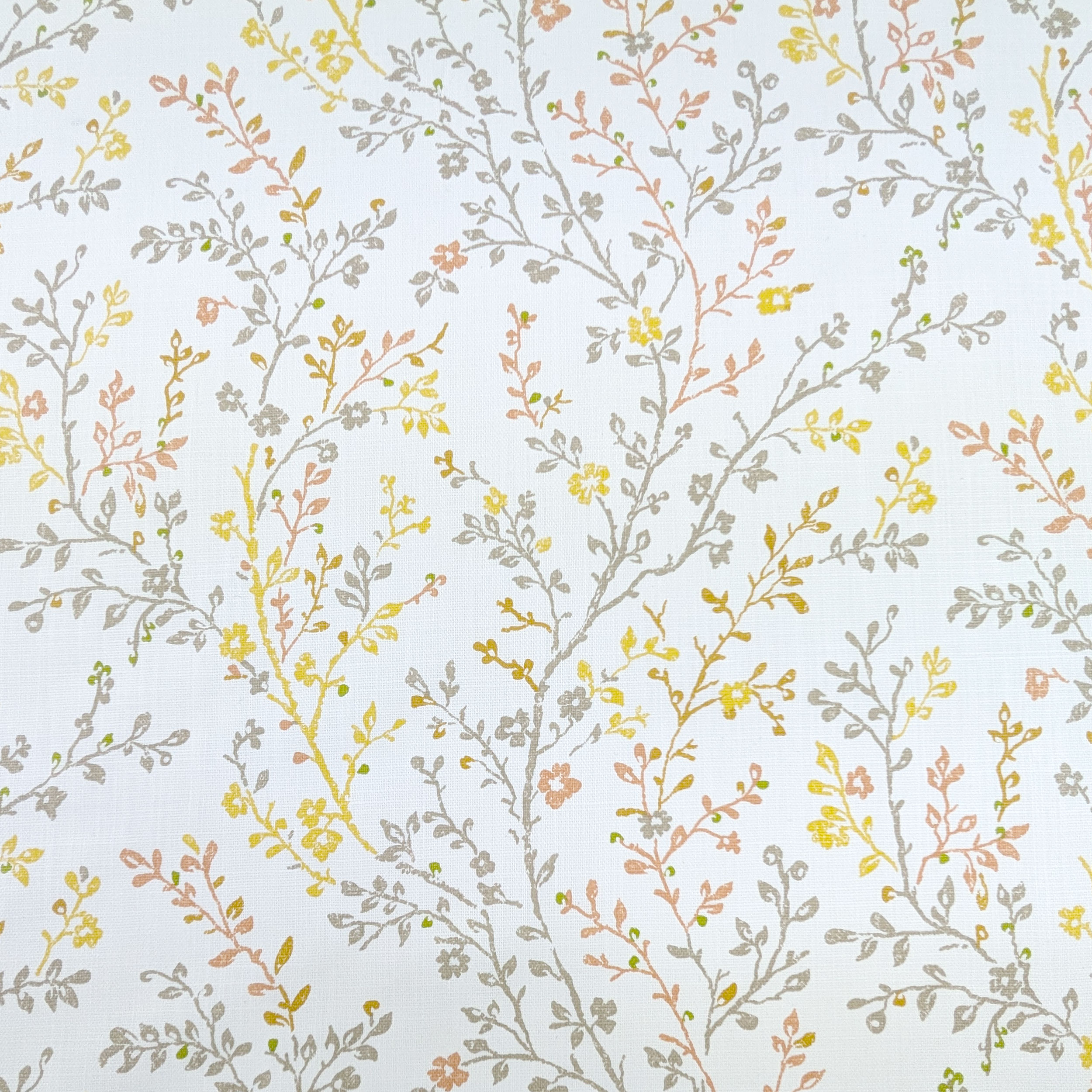 Lin de coton meublant les branches avec des fleurs aux tons chauds Image
