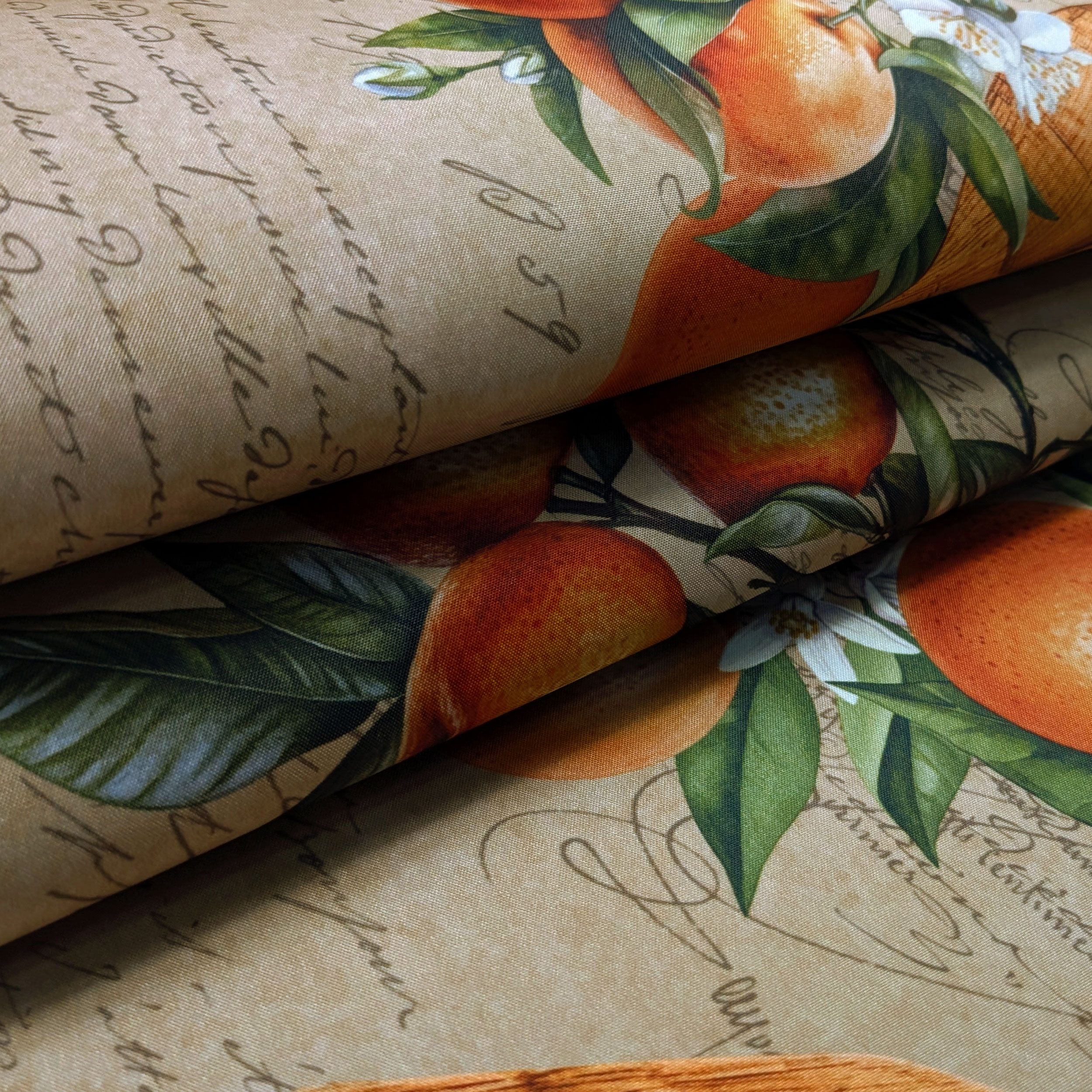 Citrus Fruit Kitchen Mash Image