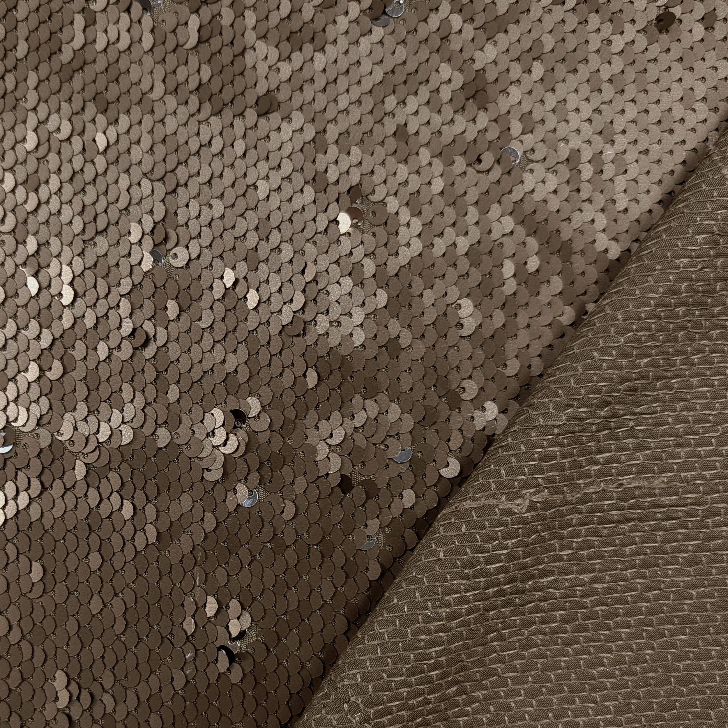 Bronze Sequins Silver Image