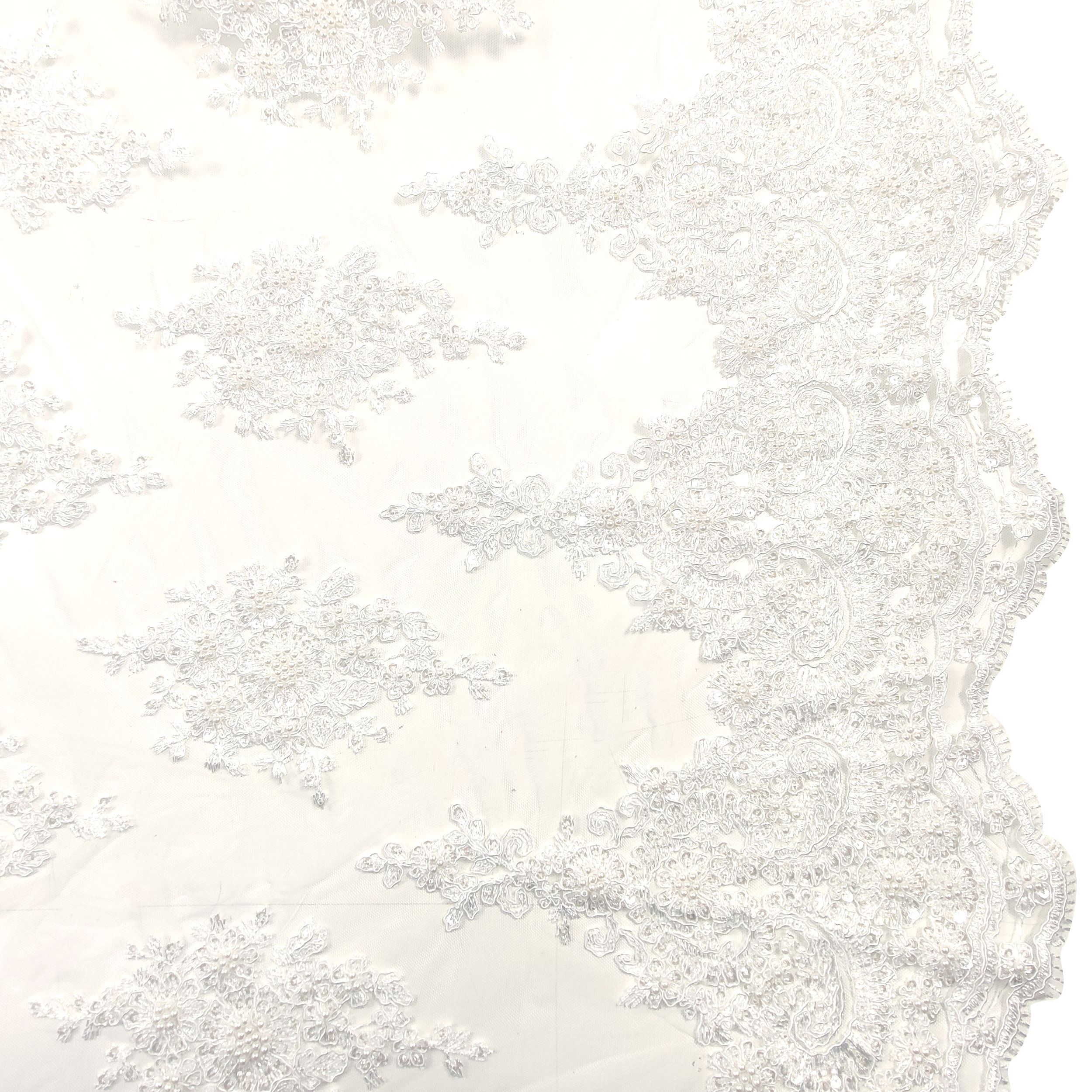 White Double Edged Beaded Tulle Lace  Image