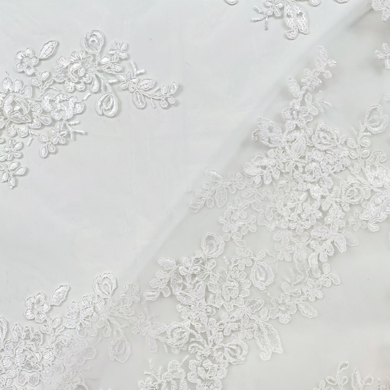 Double Edge Scalloped Lace Image