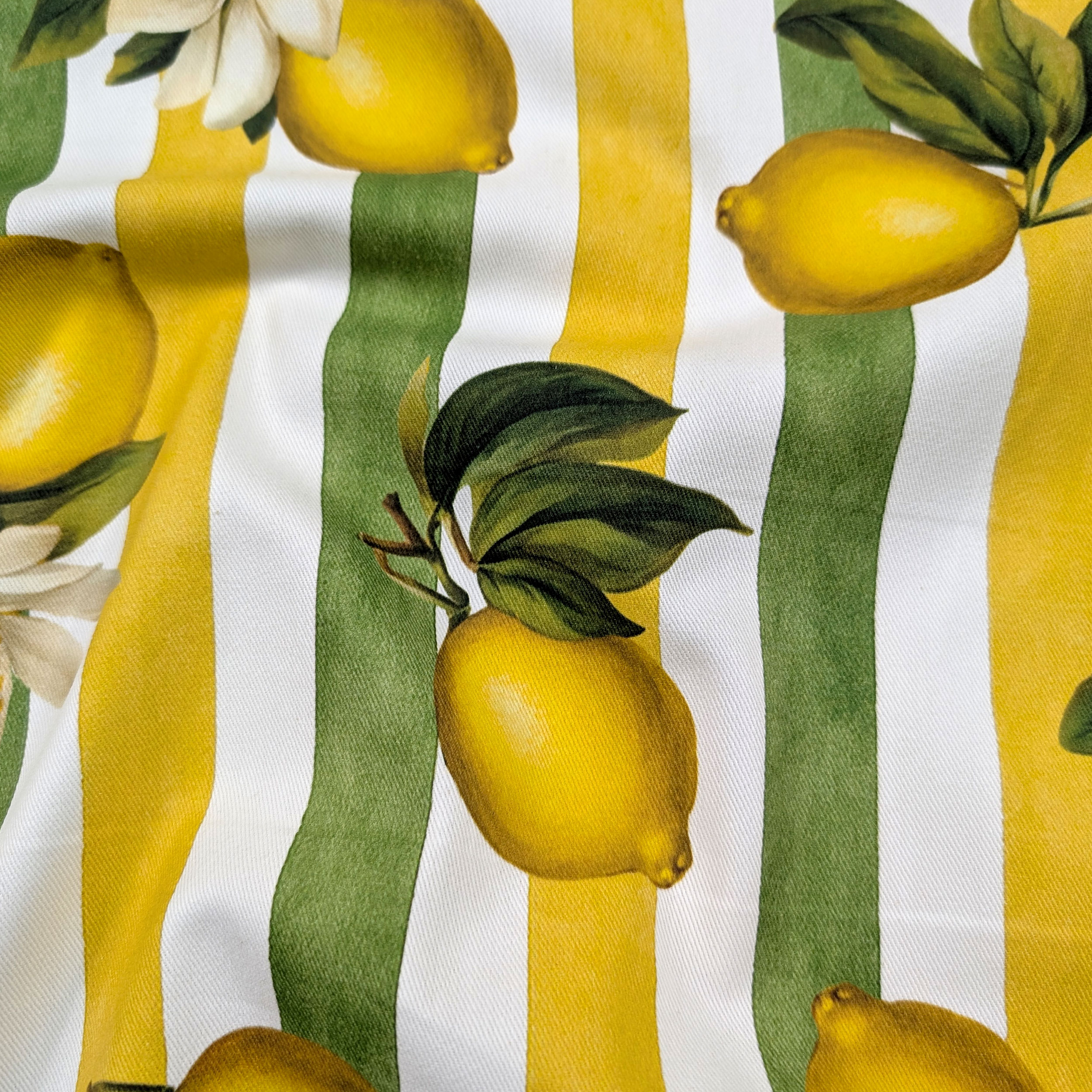 Panama Lemons and Summer Stripes Image