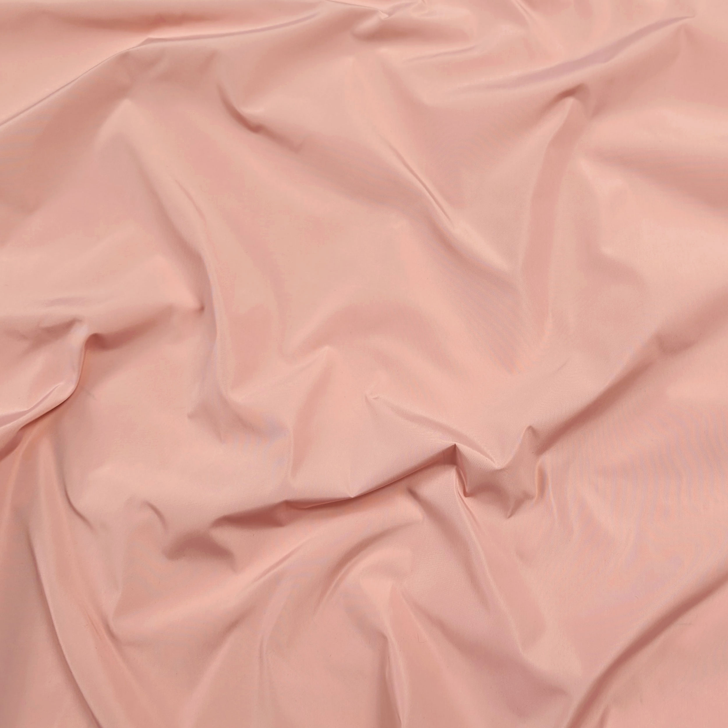 Rose - 11