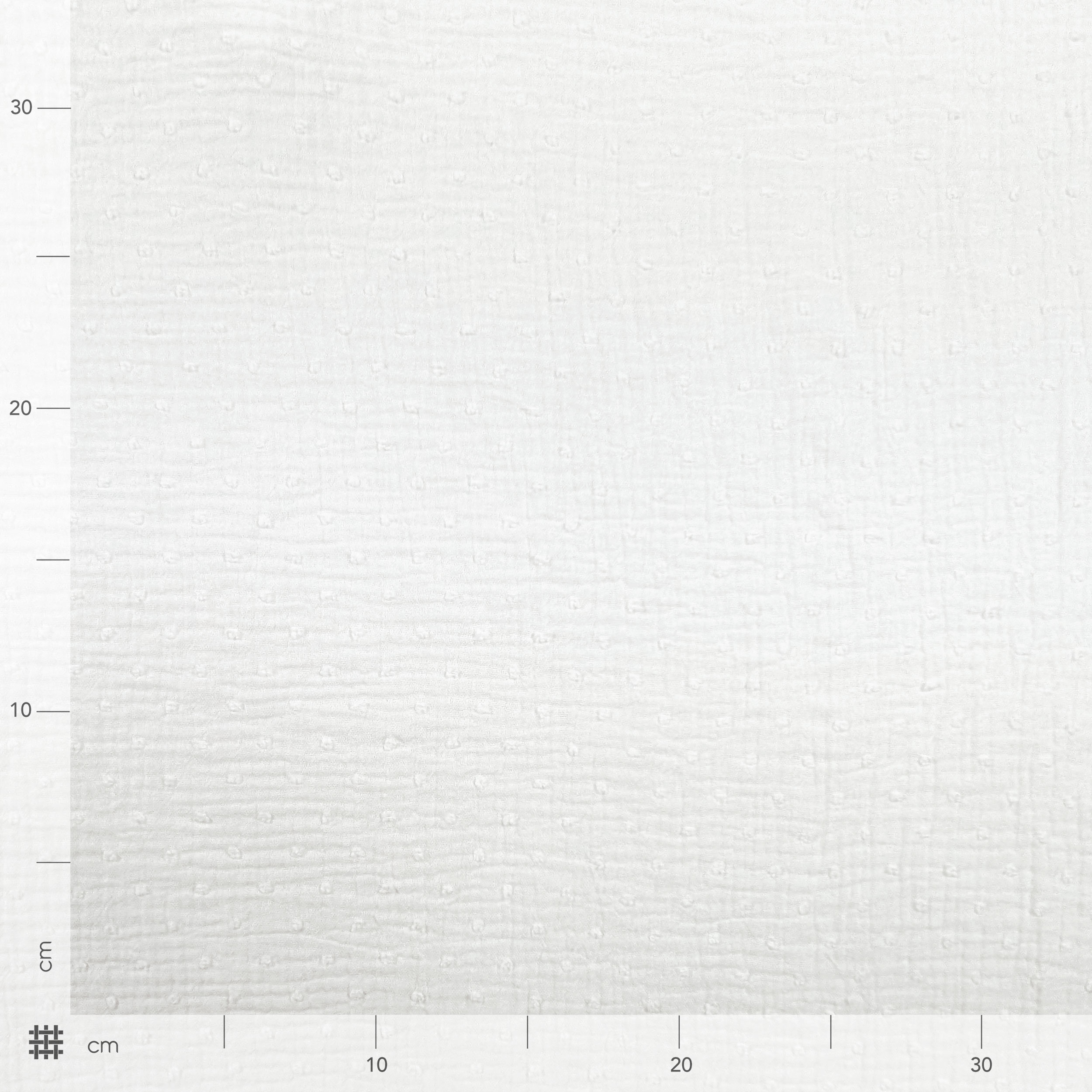 Plumetis White Cotton Muslin Image