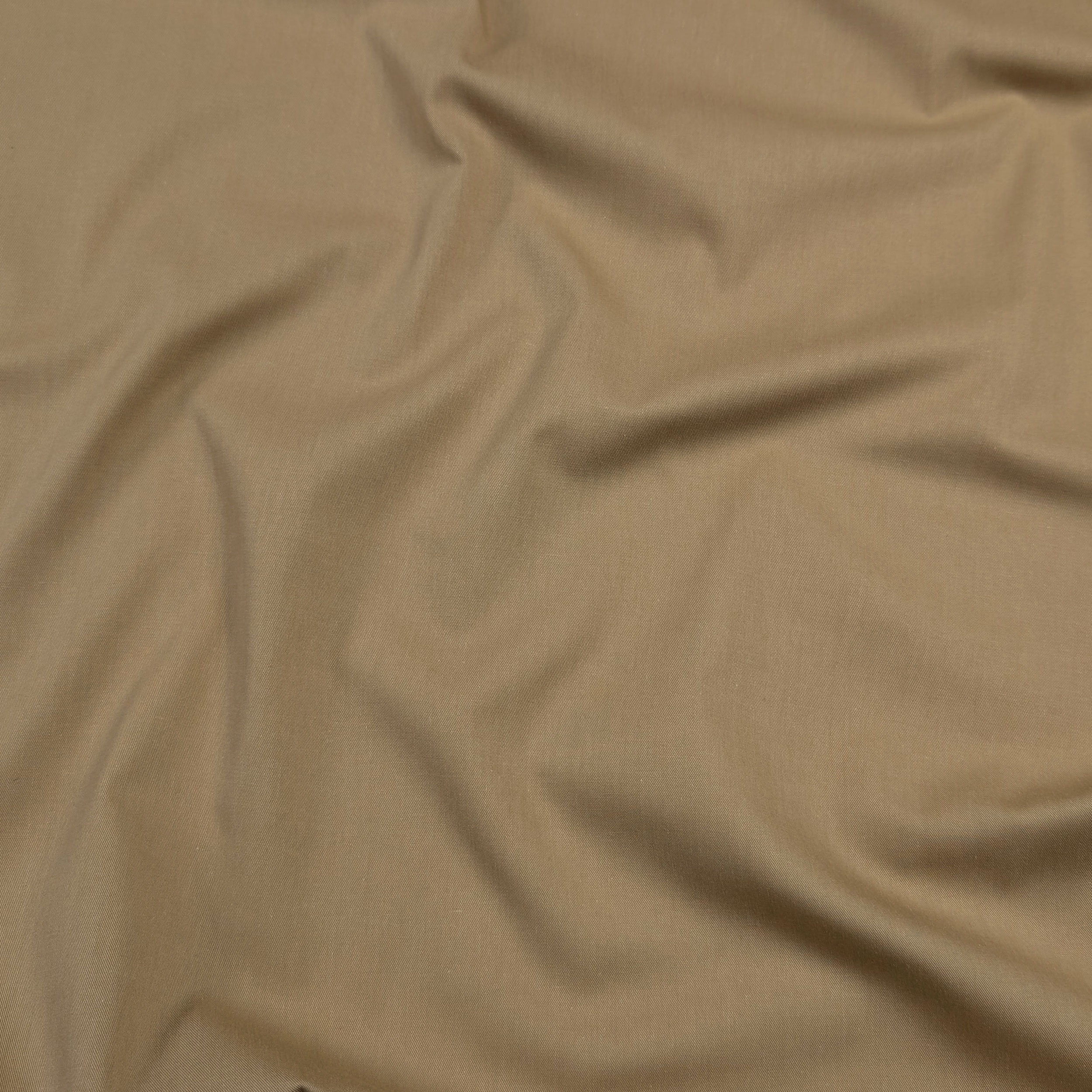 Beige cotton Image