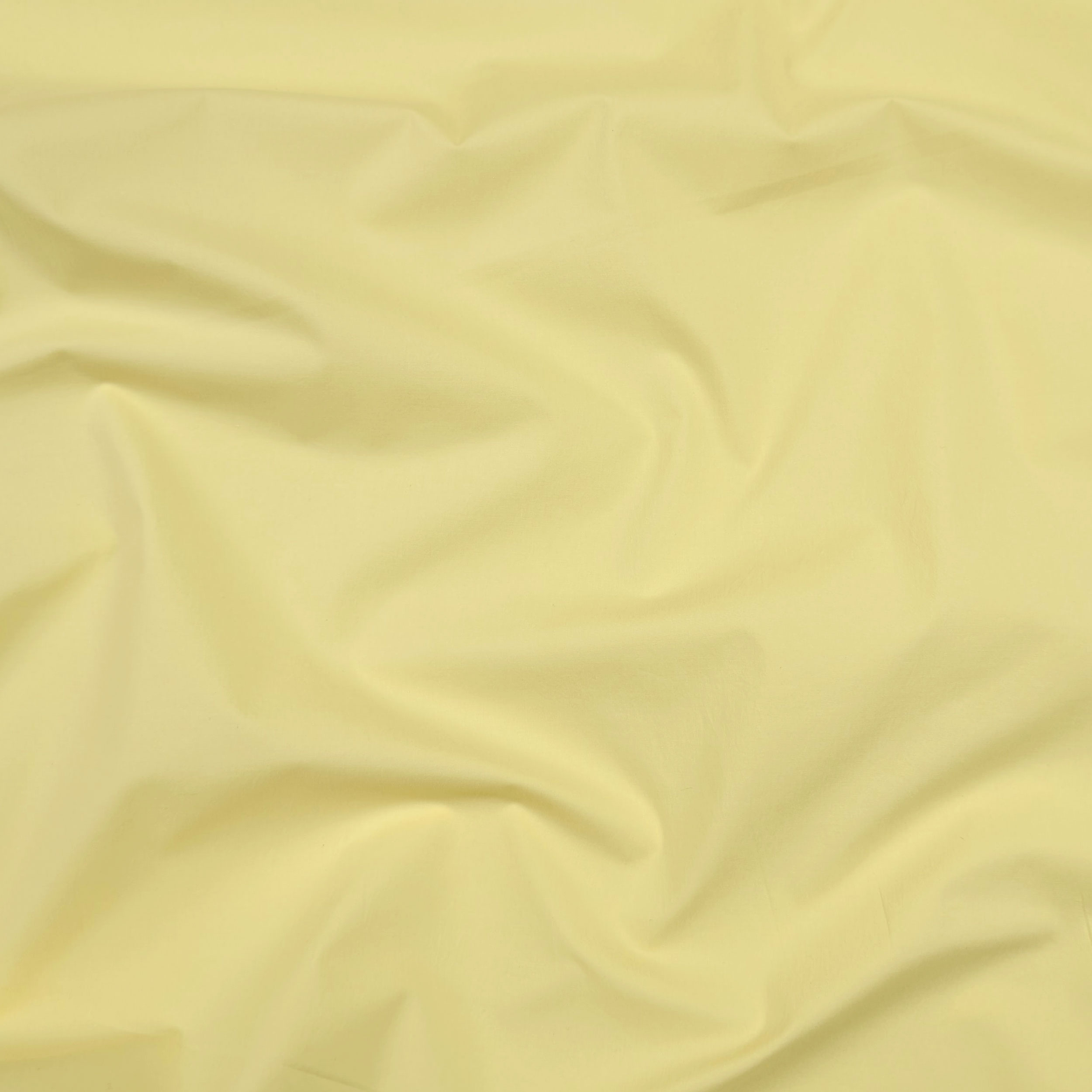 Yellow cotton Image