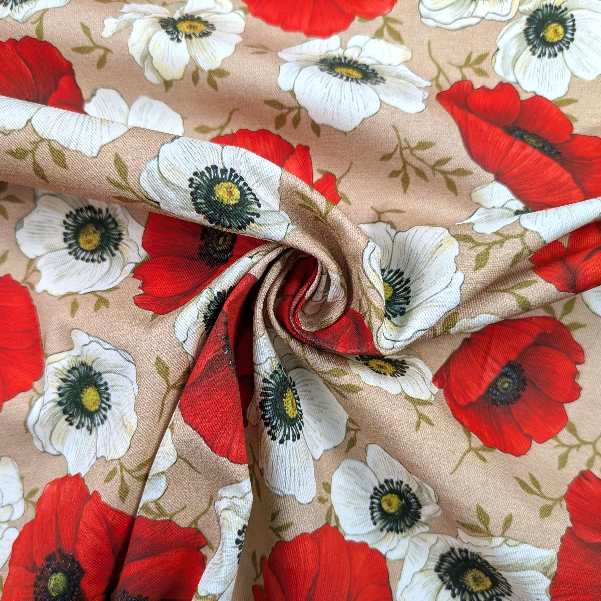 Les coquelicots du Panama en fleurs Image